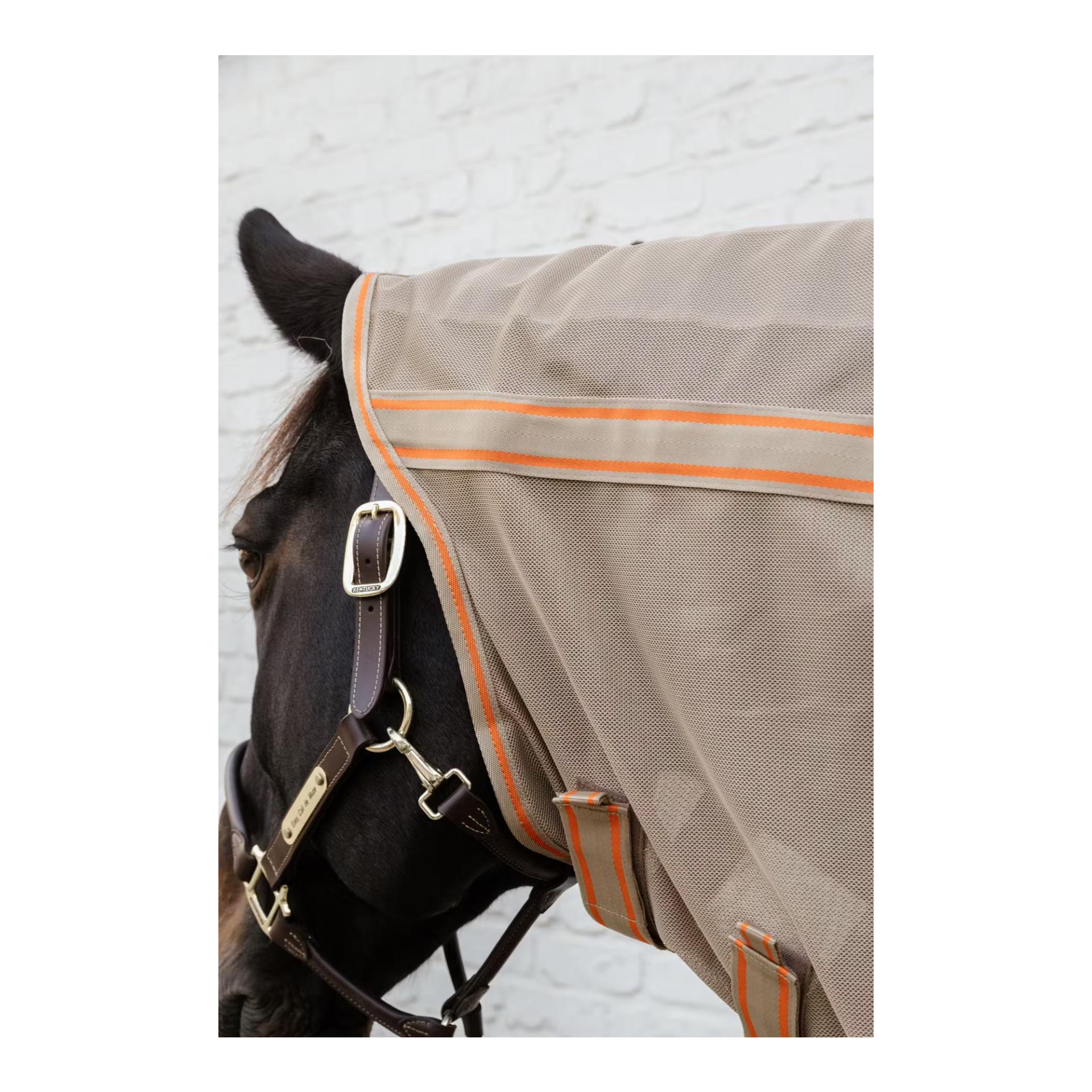 Kentucky Couverture anti-mouches comfort