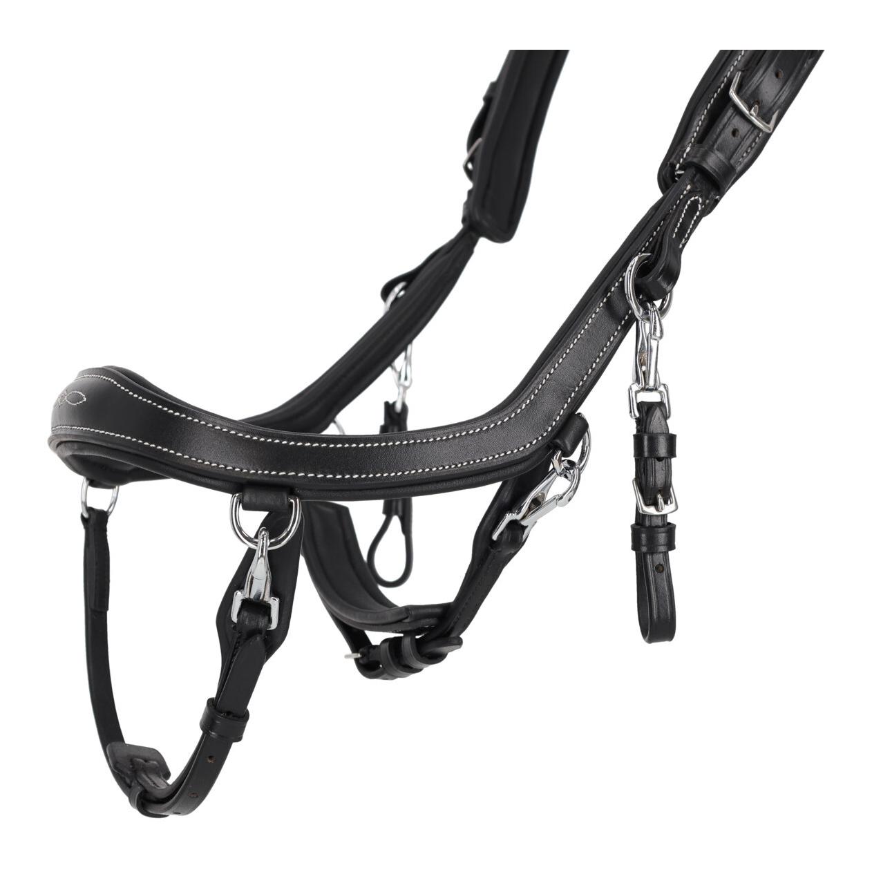 PresTeq Zaumzeug FaySport Classic