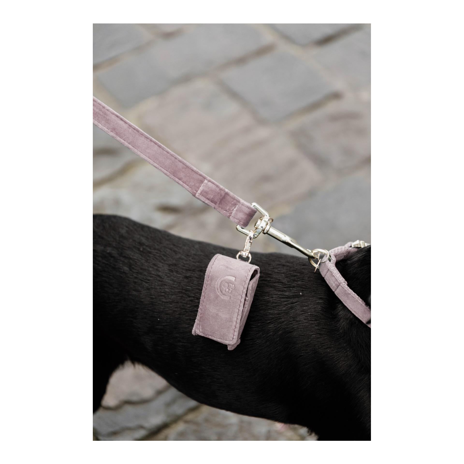 Kentucky Dogwear Distributeur de sacs à crottes Velvet Square