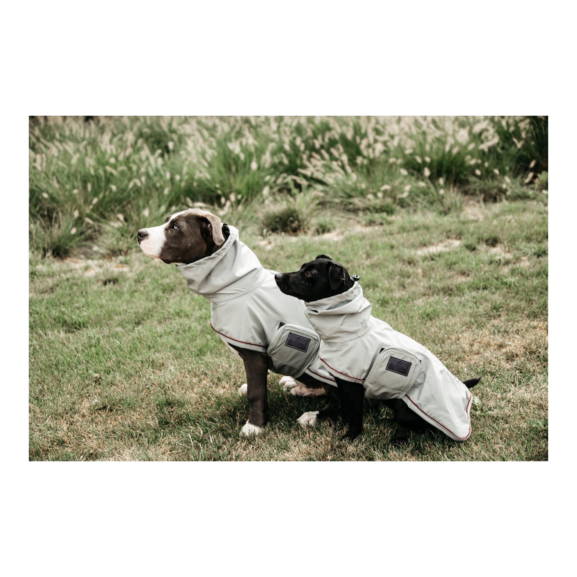 Kentucky Dogwear Veste imperméable pour chien