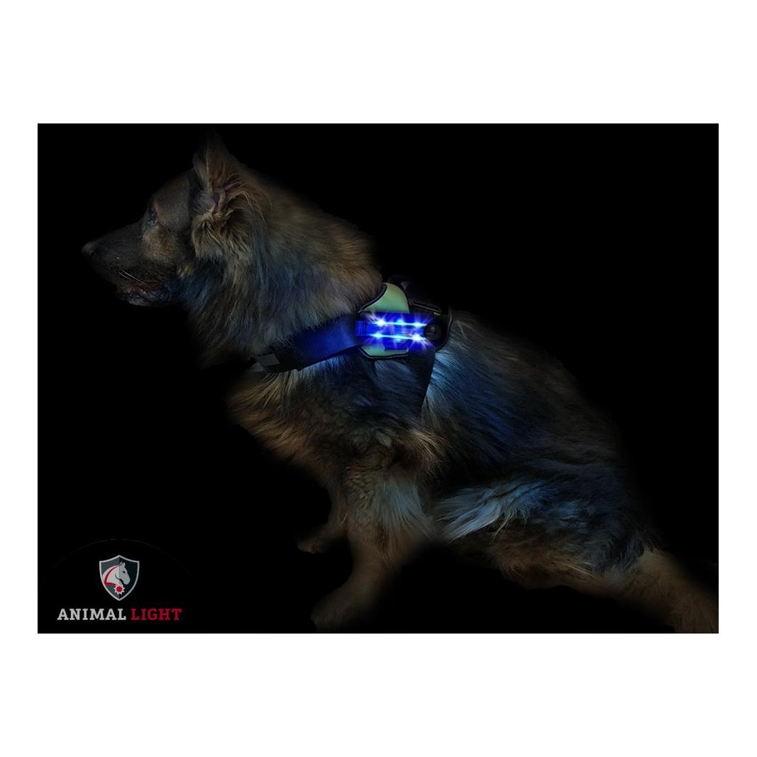 Animal Light Leucht - Harnais pour chien « Flex » - bleu