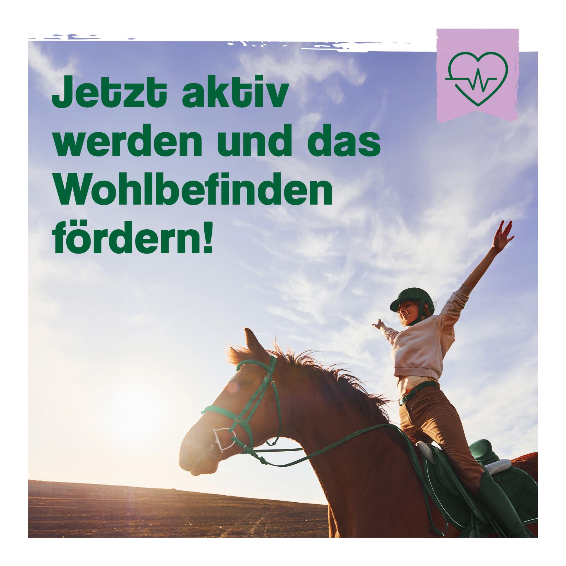 IdaPlus Bierhefe Bt - Futterergänzung für glänzendes Fell & kräftige Haut
