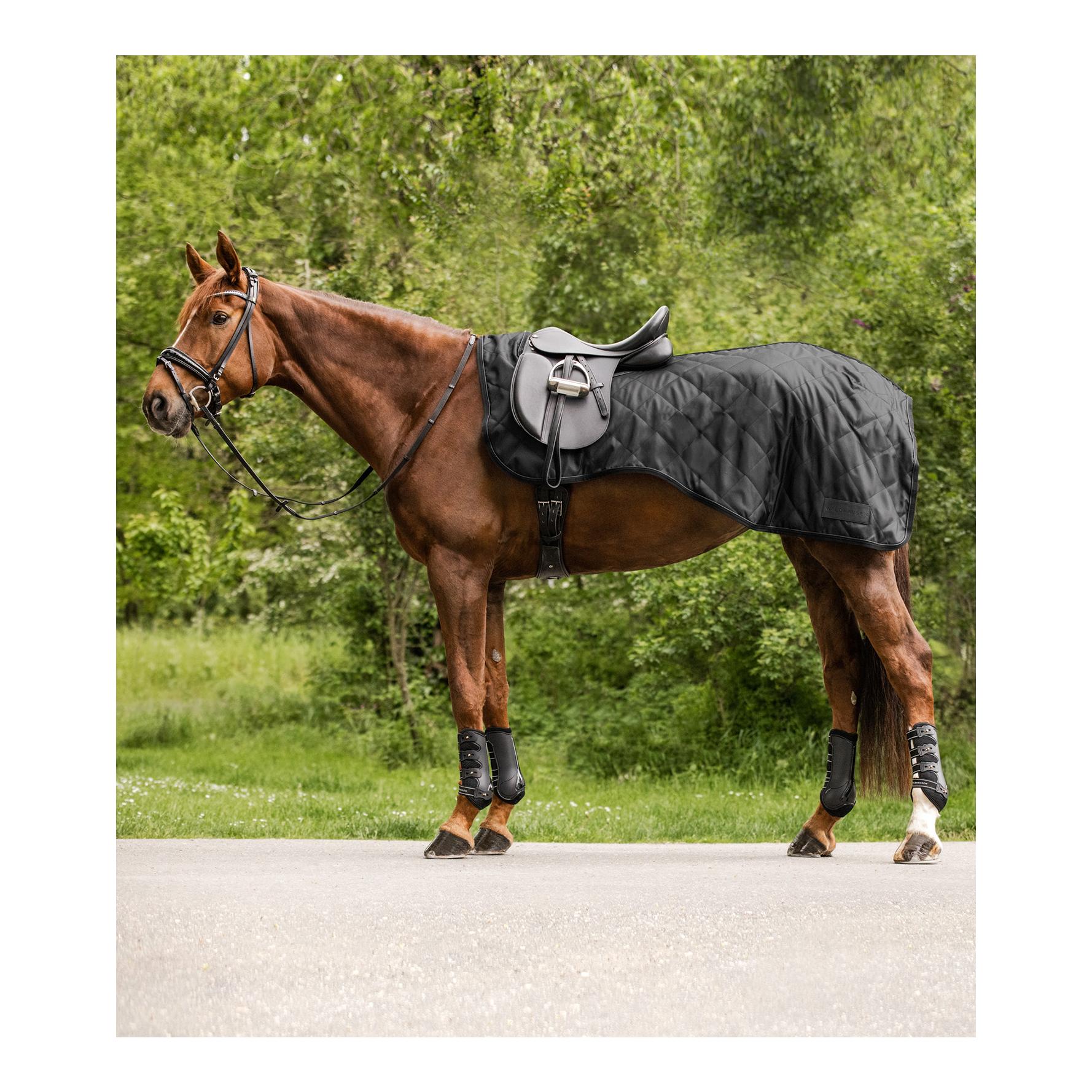 Waldhausen Nierendecke Exclusive