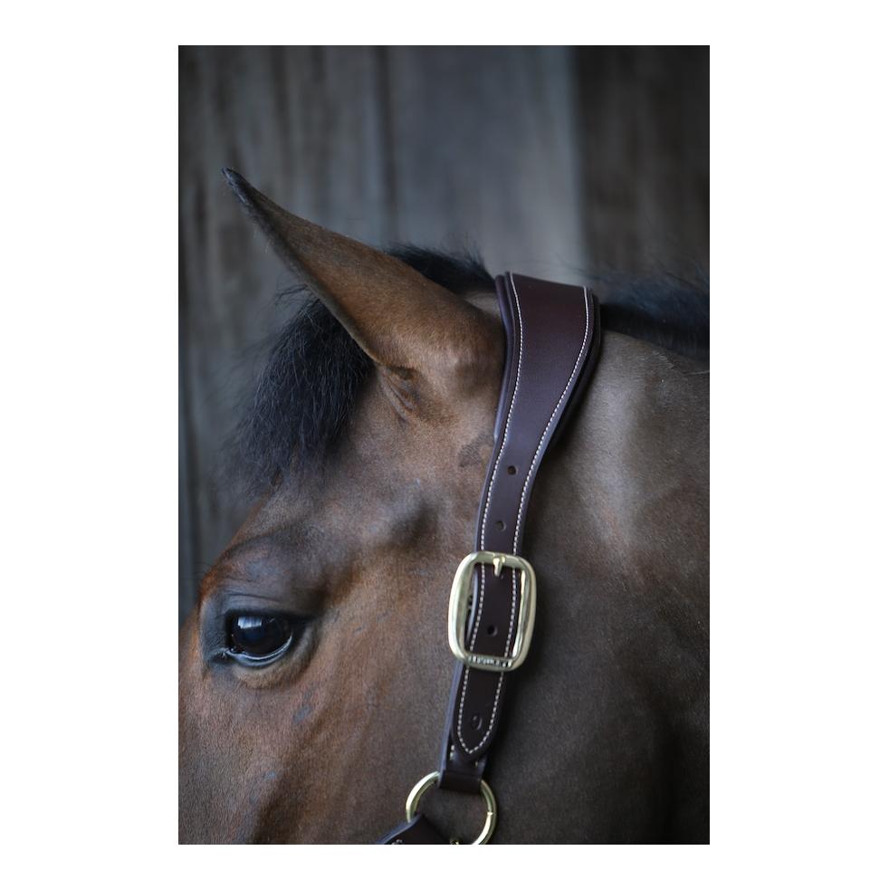 Kentucky Lederhalfter Anatomic (Lederimitat) - braun