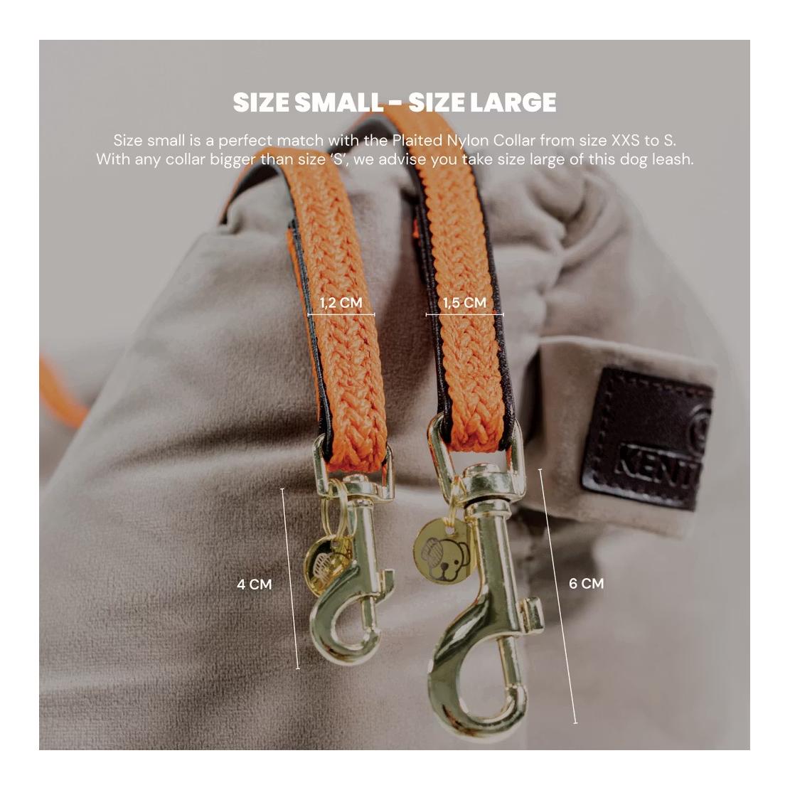 Kentucky Dogwear Laisse pour chien en nylon tressé