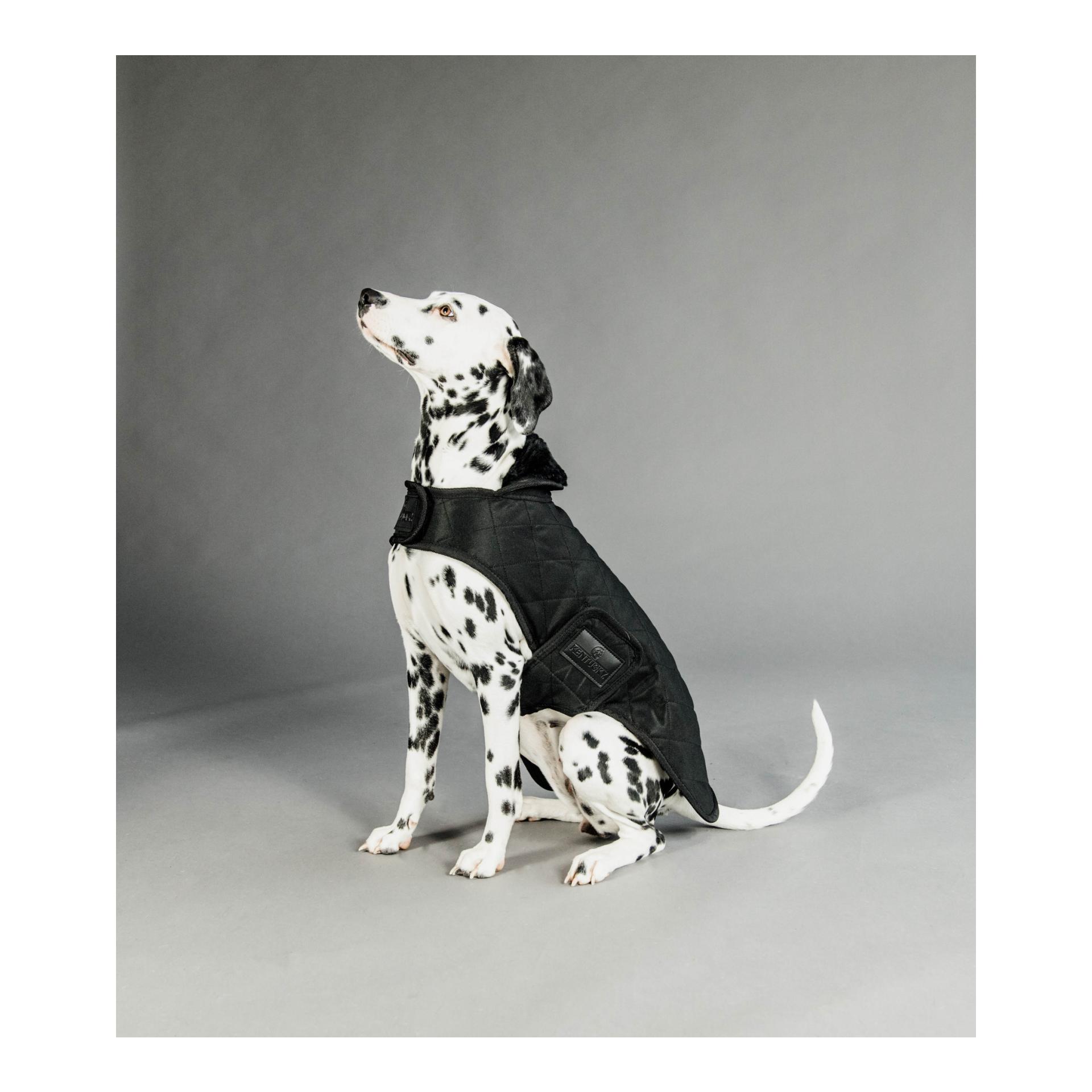 Kentucky Dogwear Hundemantel Original - black/black