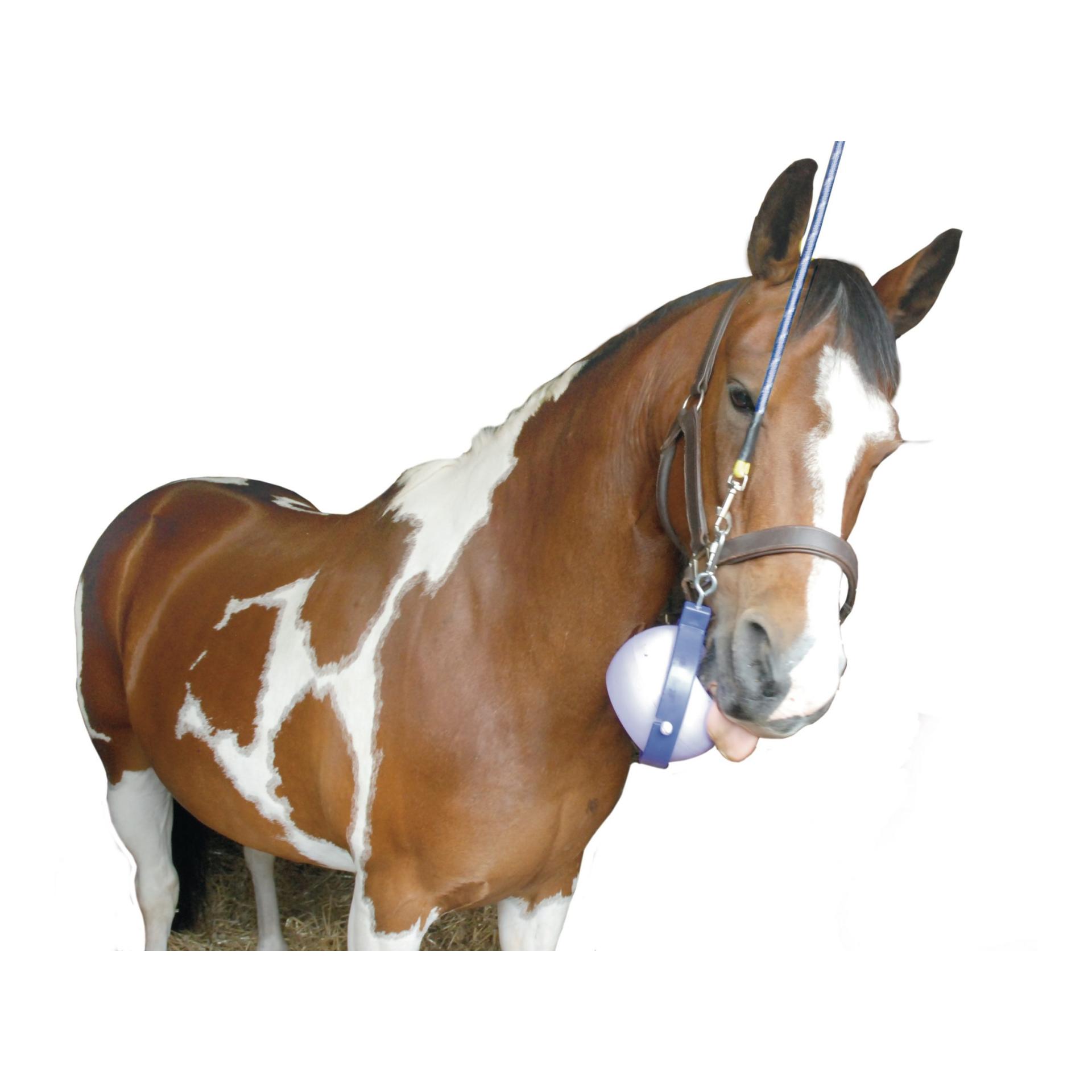 Likit Refill - Kirsche