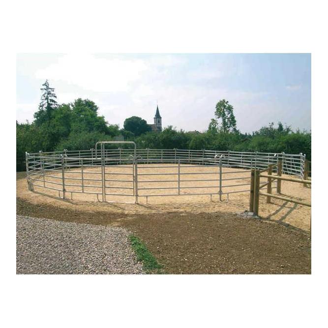 Round Pen 15 (rond de longe)