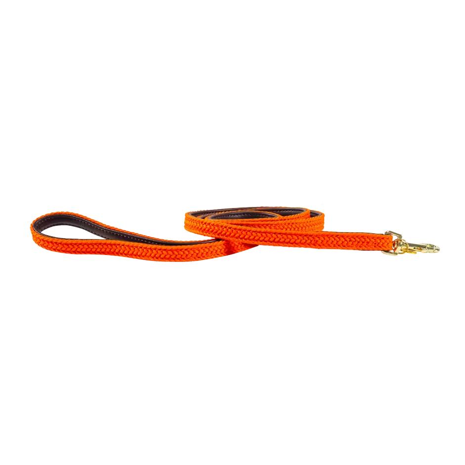 Kentucky Dogwear Hundeleine Nylon geflochten