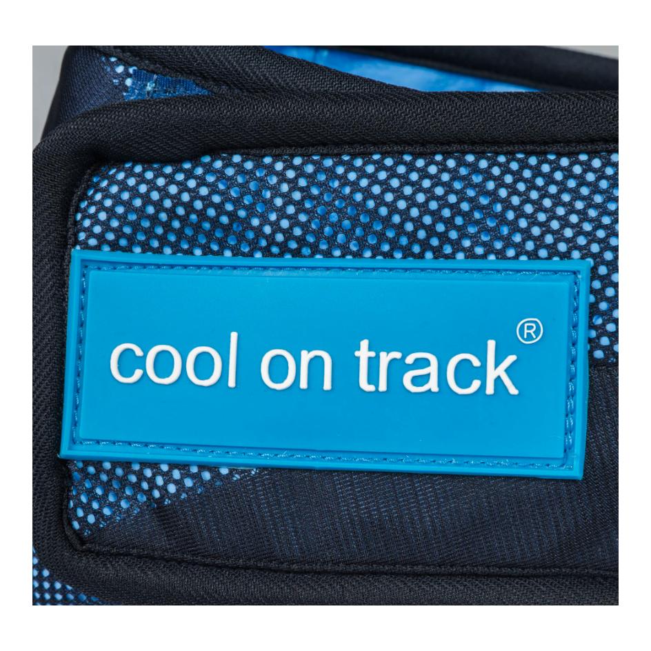 Back on Track Cooling Bandana