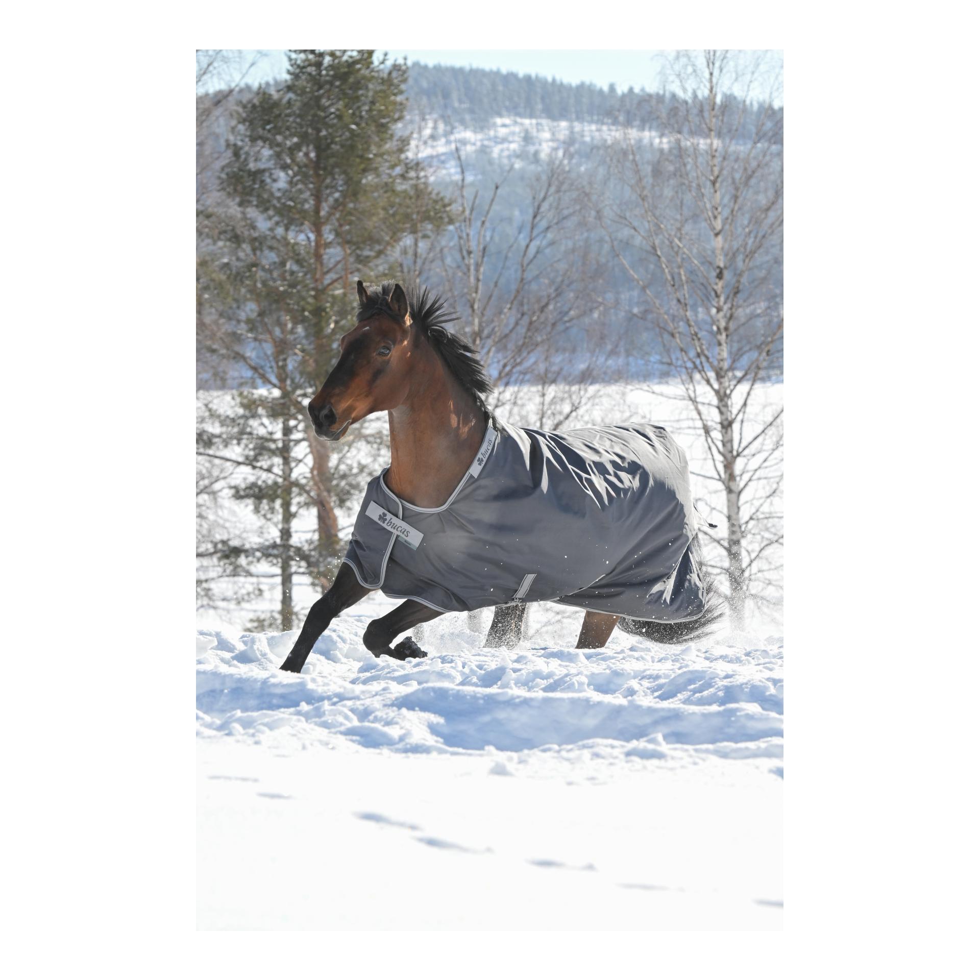 Bucas Winterdecke Smartex Extra Classic 300g - grau