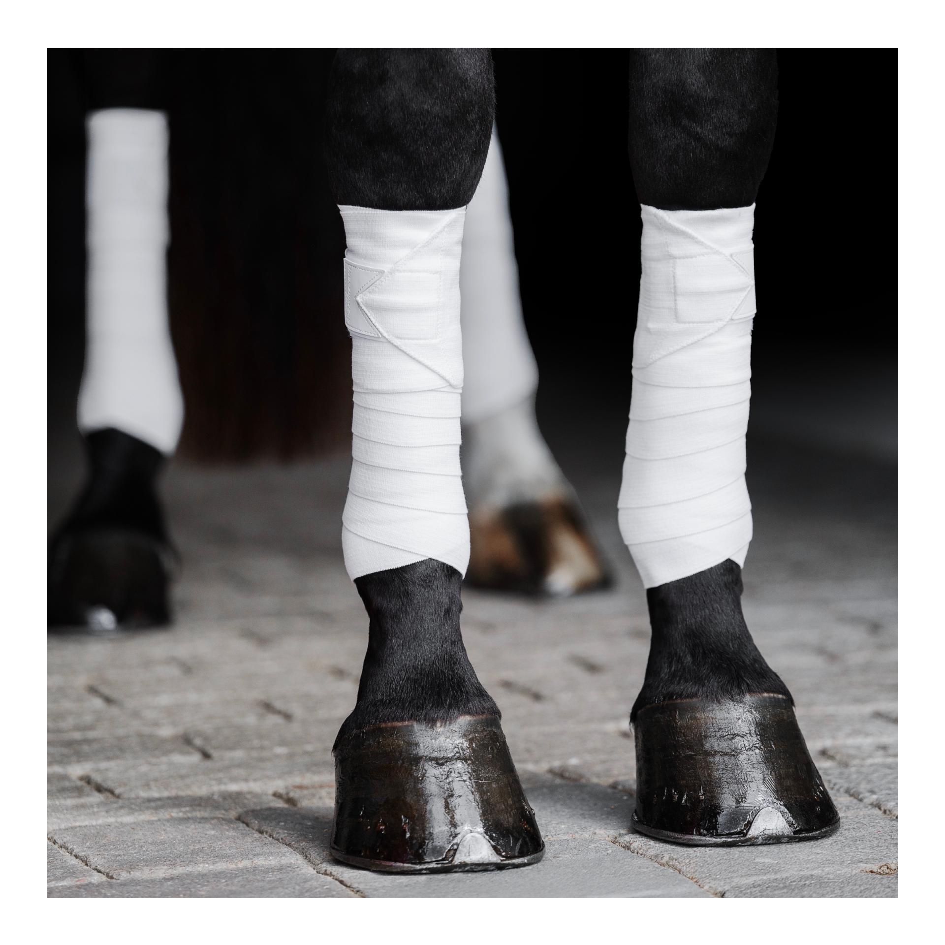 Incrediwear Equine Arbeitsbandagen Circulation (Paar)