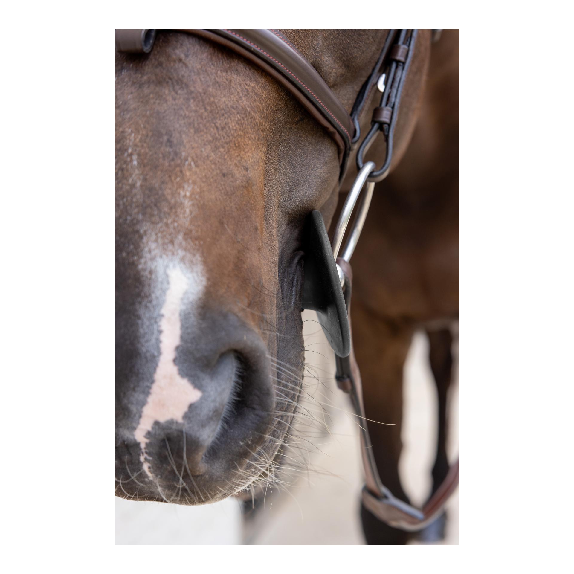 Grooming Deluxe Rondelles de mors en silicone