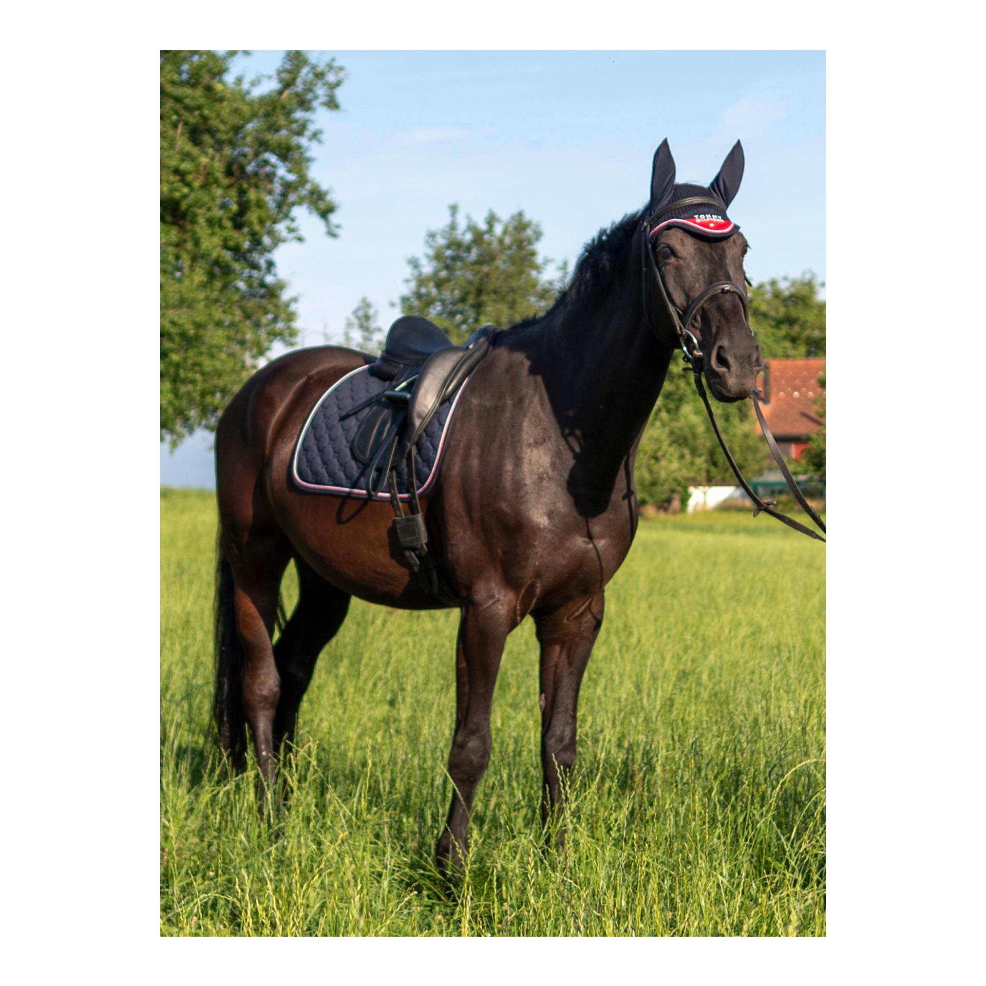 Tommy Hilfiger Equestrian Chabraque de dressage Kingston