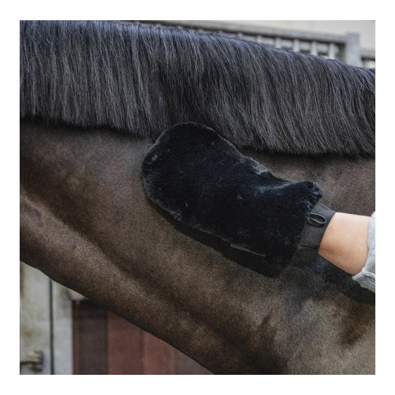 Grooming Deluxe Fell Putzhandschuh - schwarz
