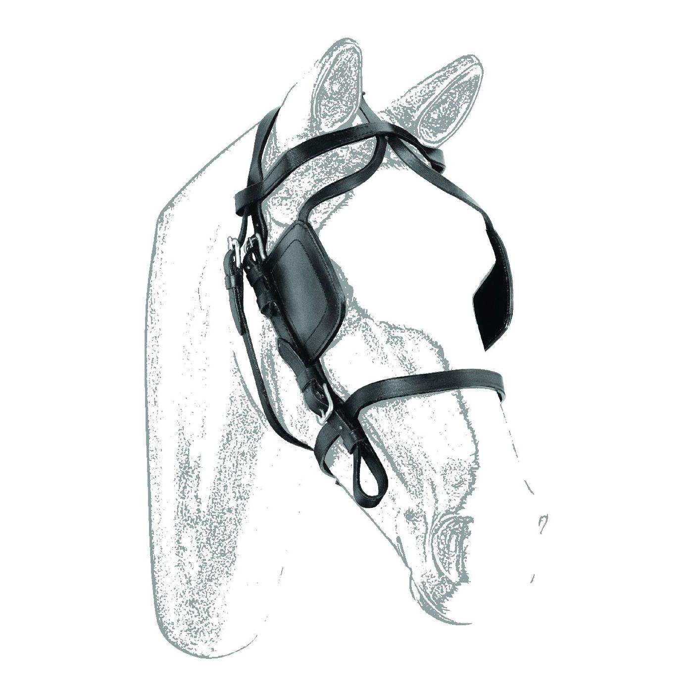 Umbria Equitazione Fahrzaum