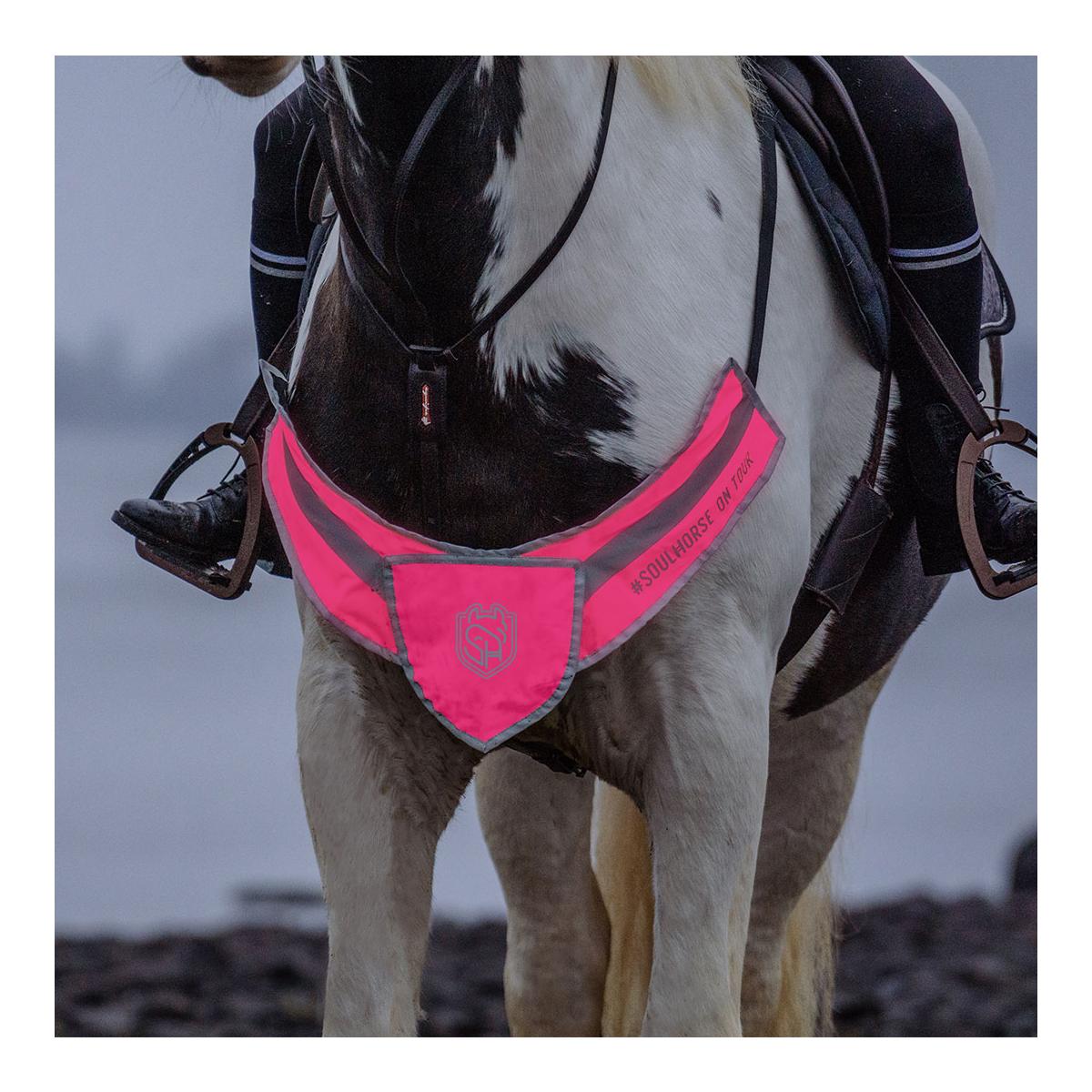 Soulhorse Kit d'éclairage avant