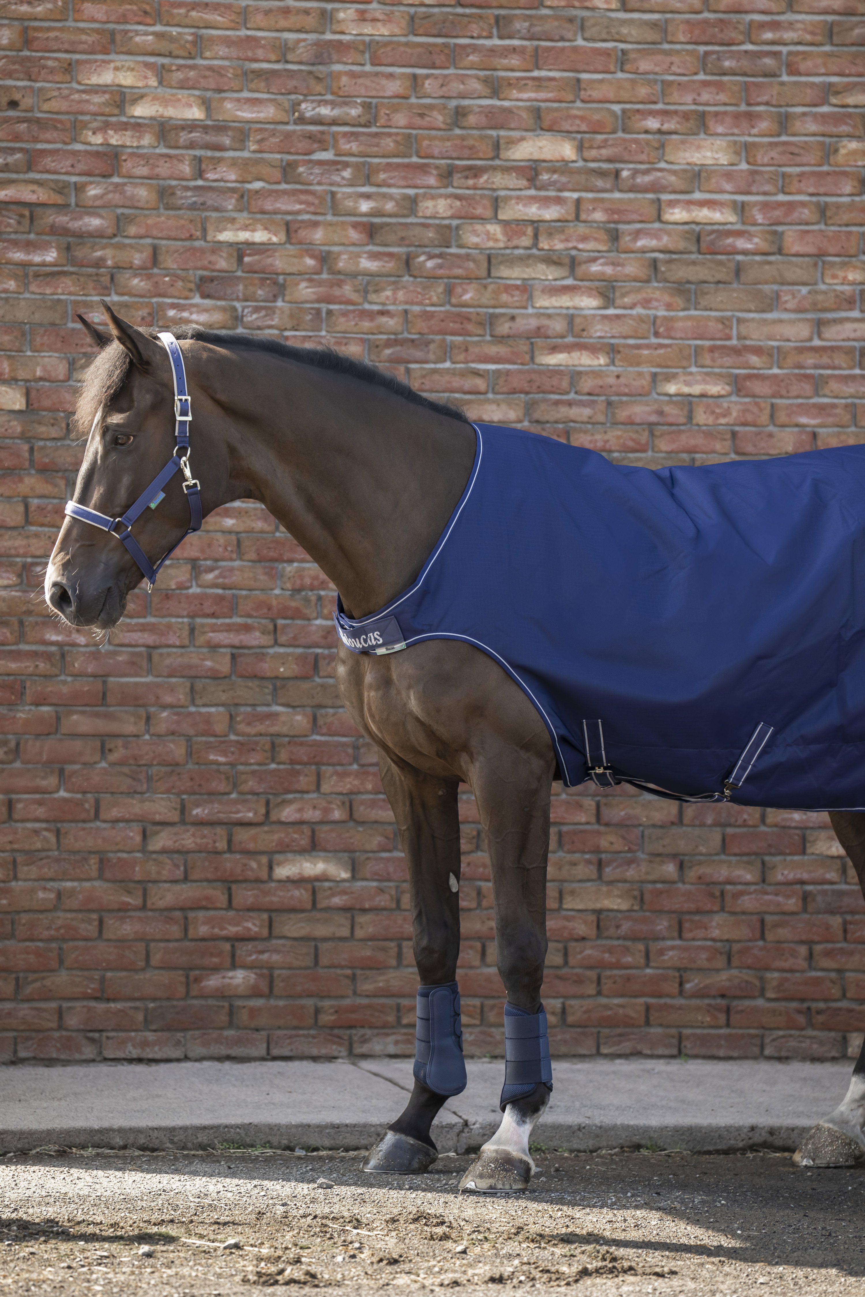 Bucas Walkerdecke - navy