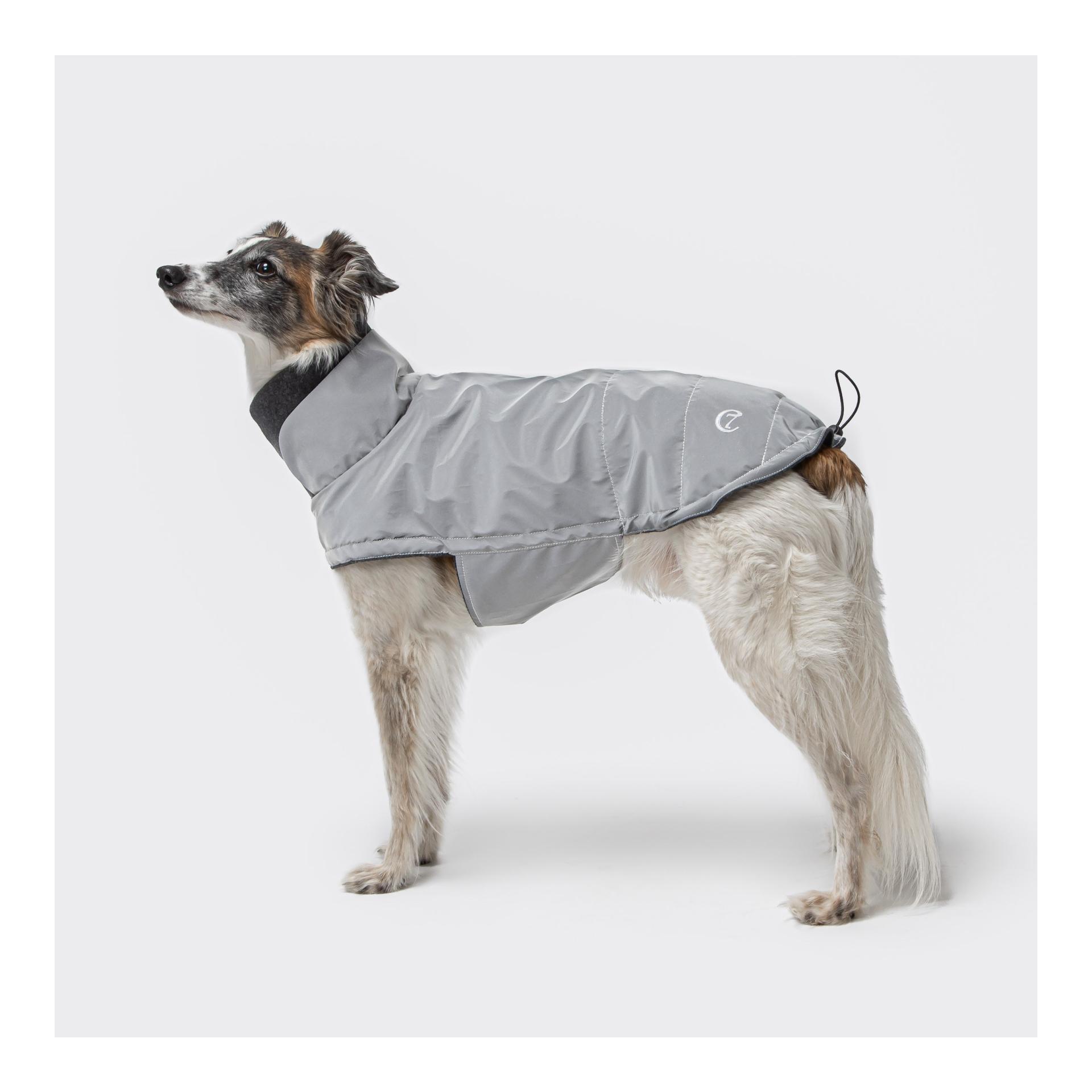 Cloud 7 Manteau pour chien Brooklyn - reflective