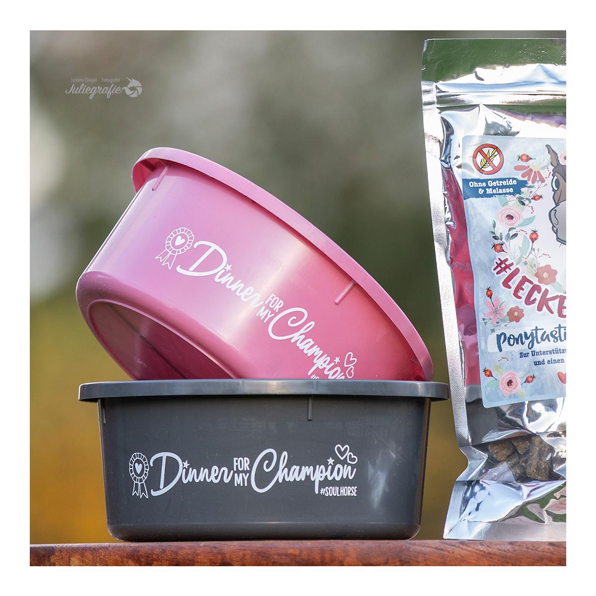 Soulhorse Mangeoire "Dinner for my Champion"