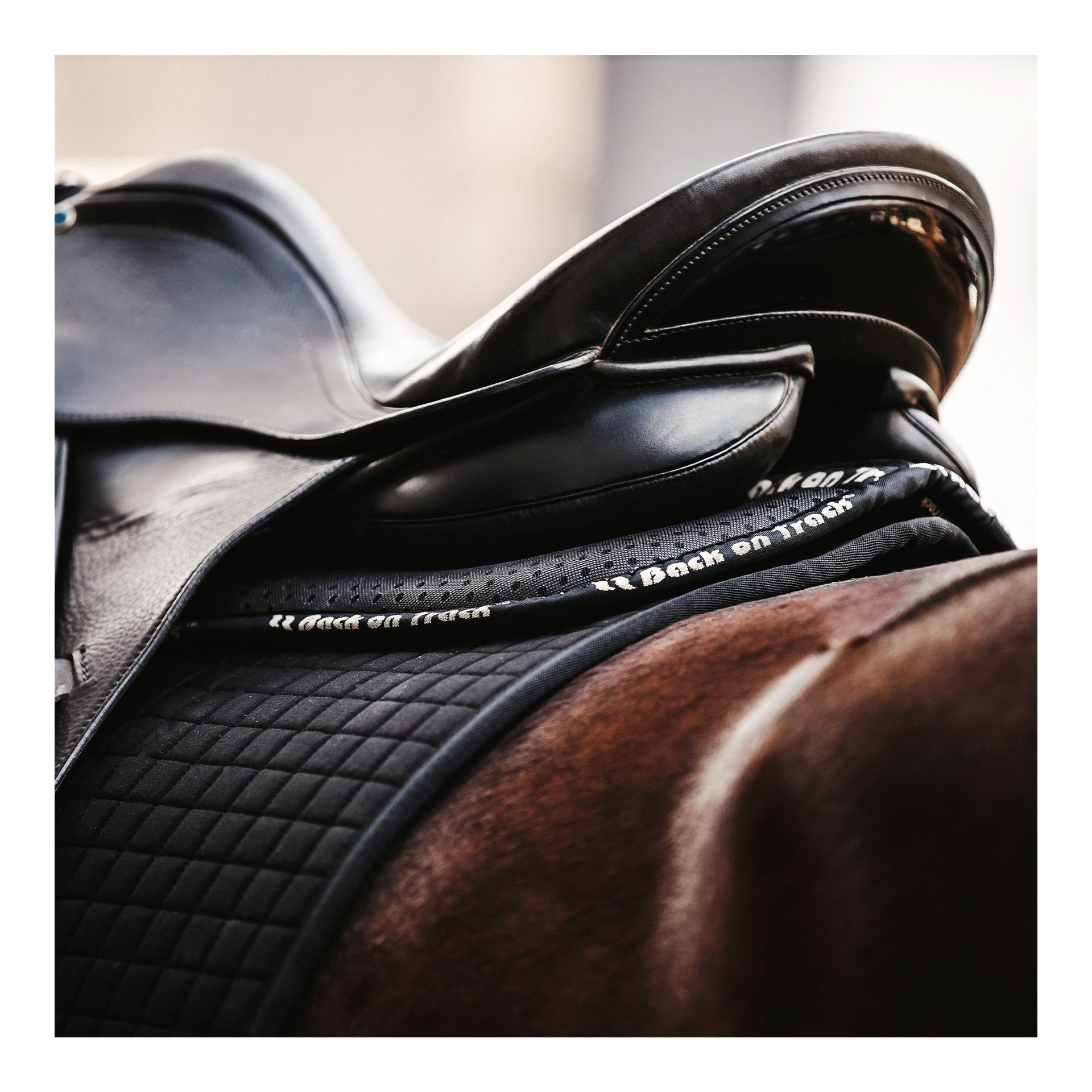 Back on Track Tapis de selle Aurora Impact - noir