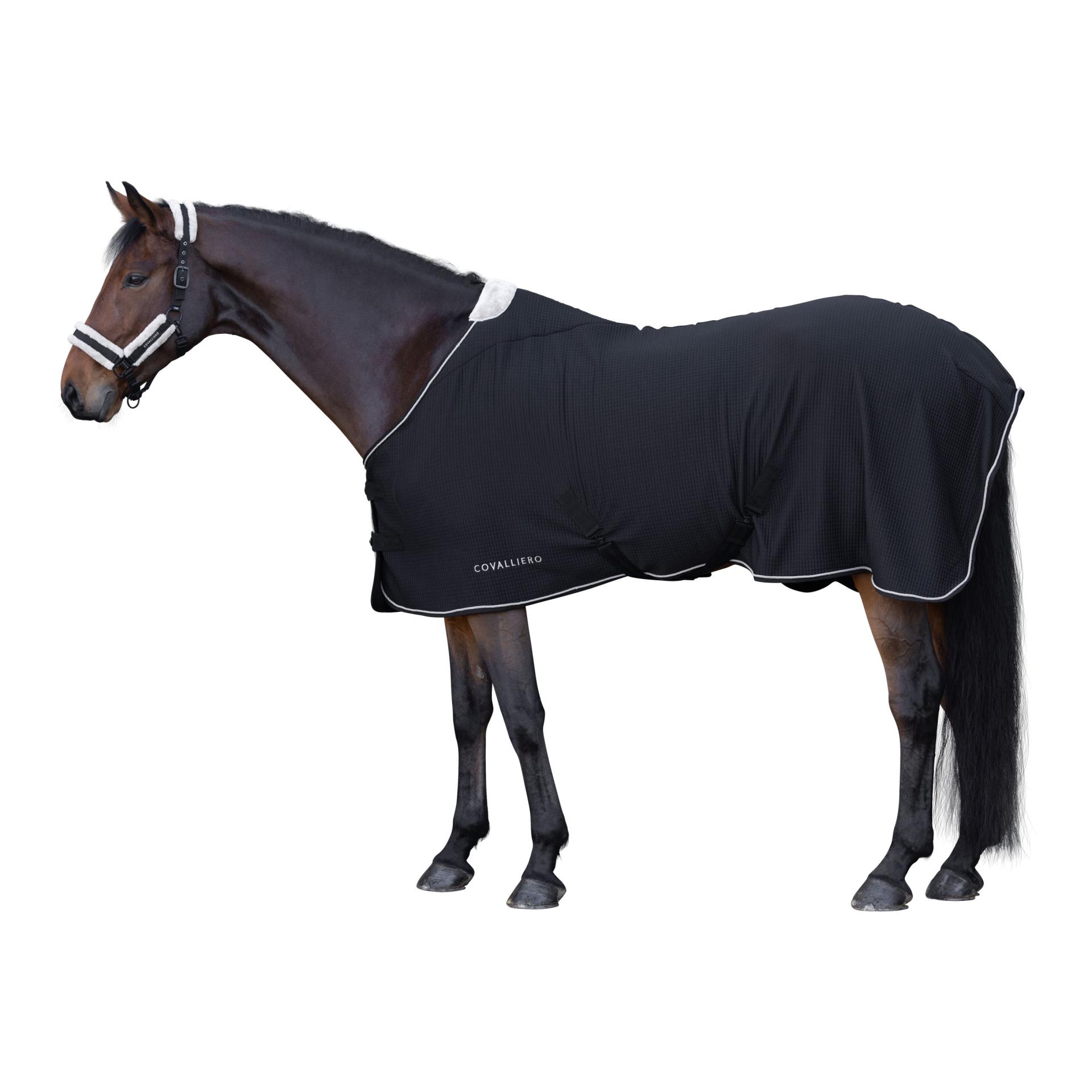 Covalliero Couverture séchante Premium A/H 2026