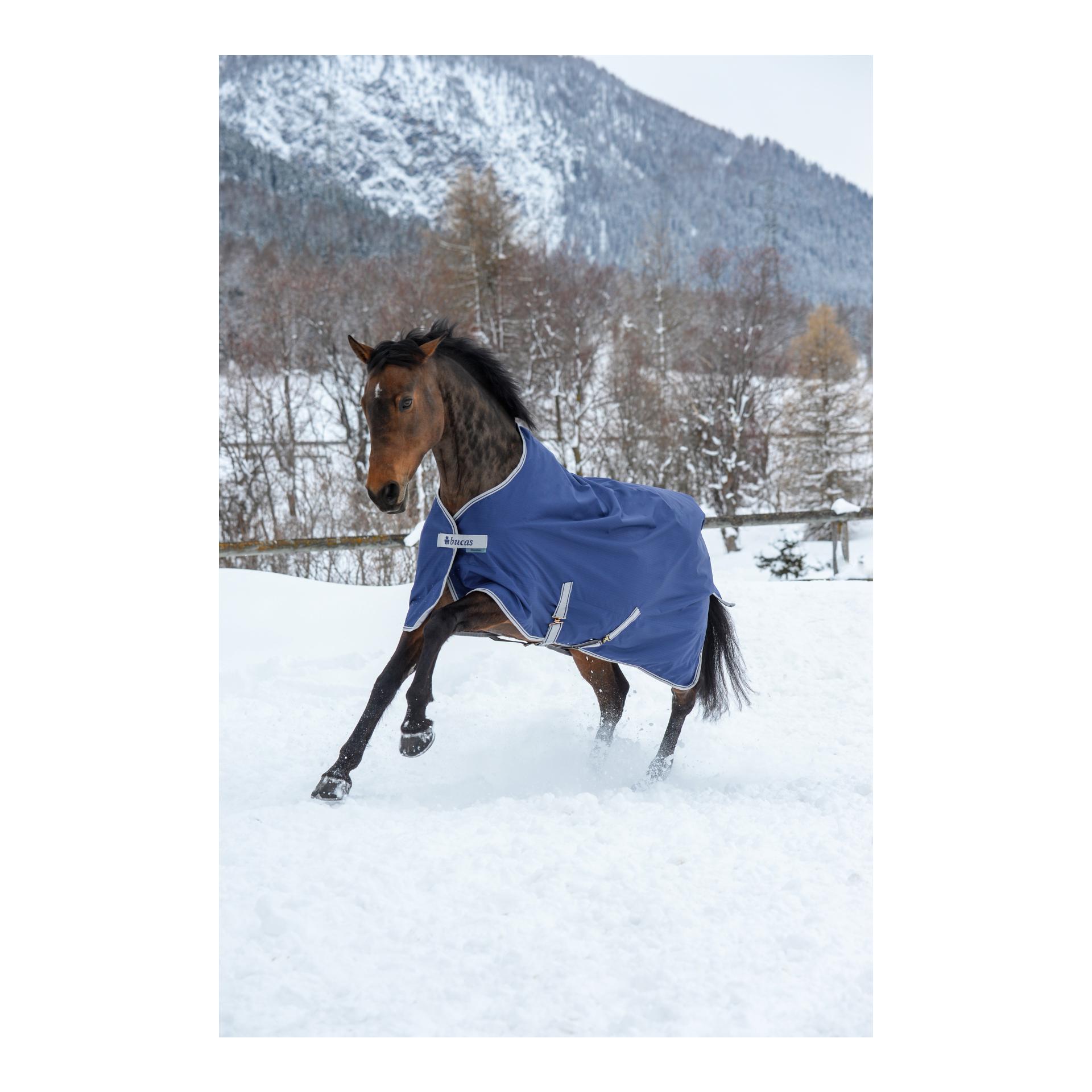 Bucas Couverture d'hiver FREEDOM Turnout 300g - bleu marine/argent