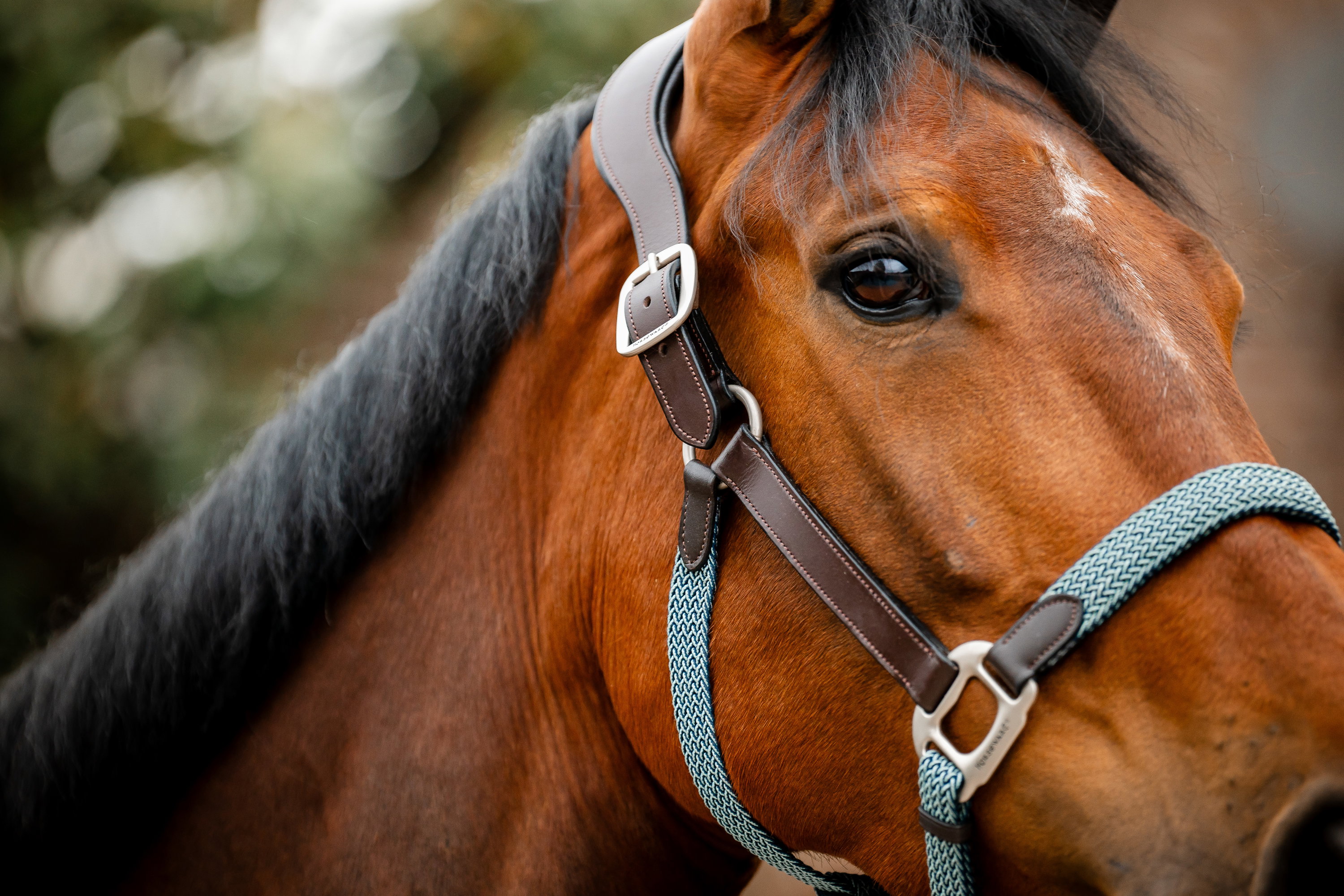Horseware Halfter Signature Braided