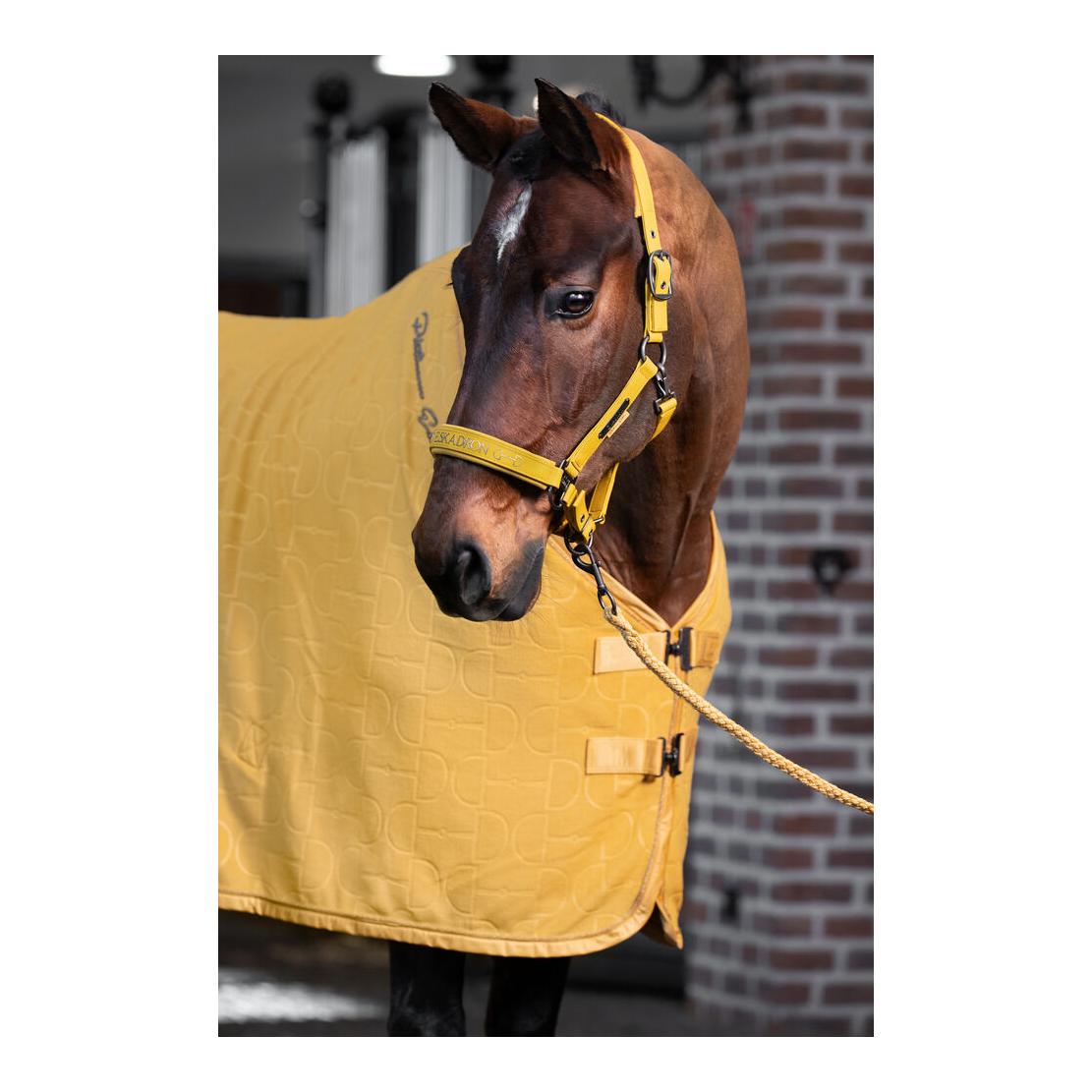 Eskadron Chemise séchante FLEECE STAMP BIT Platinum 25