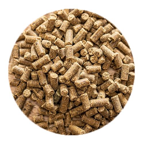 St. Hippolyt Magnesium B12