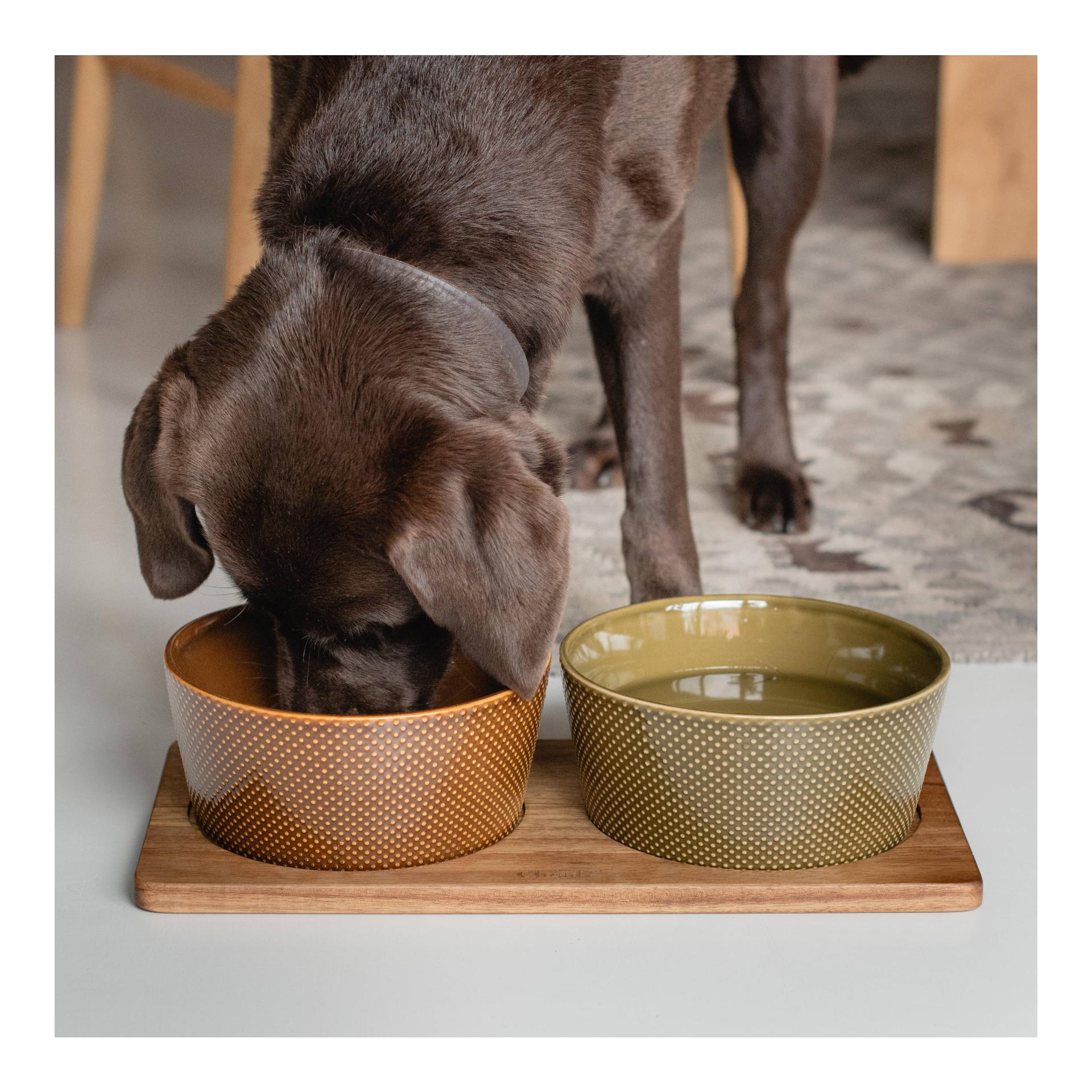 Cloud 7 Support de gamelle Dog Station - bois d'acacia