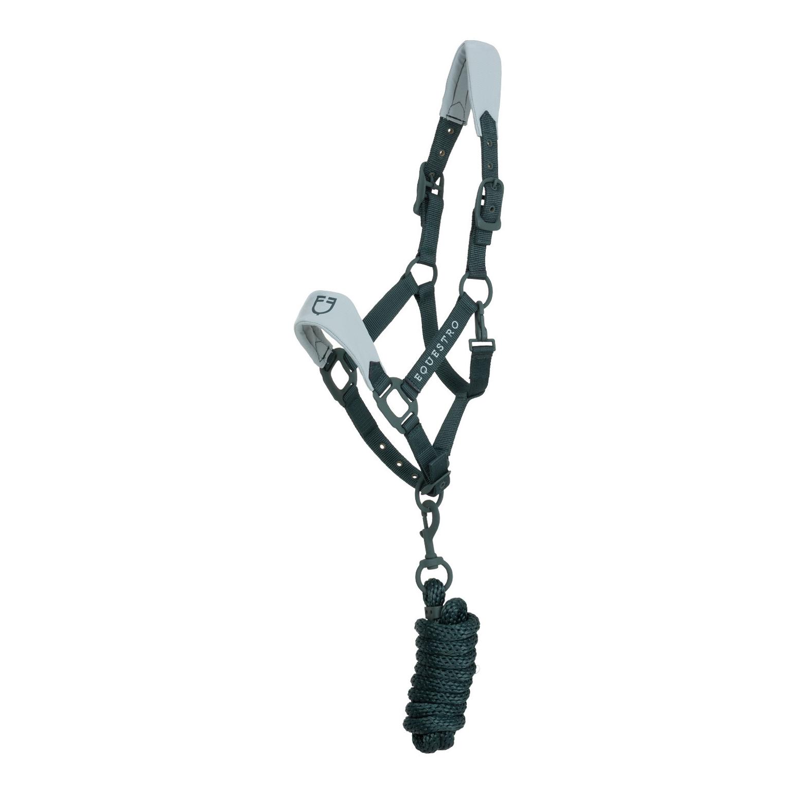 Equestro Licol avec boucles recouvertes de caoutchouc