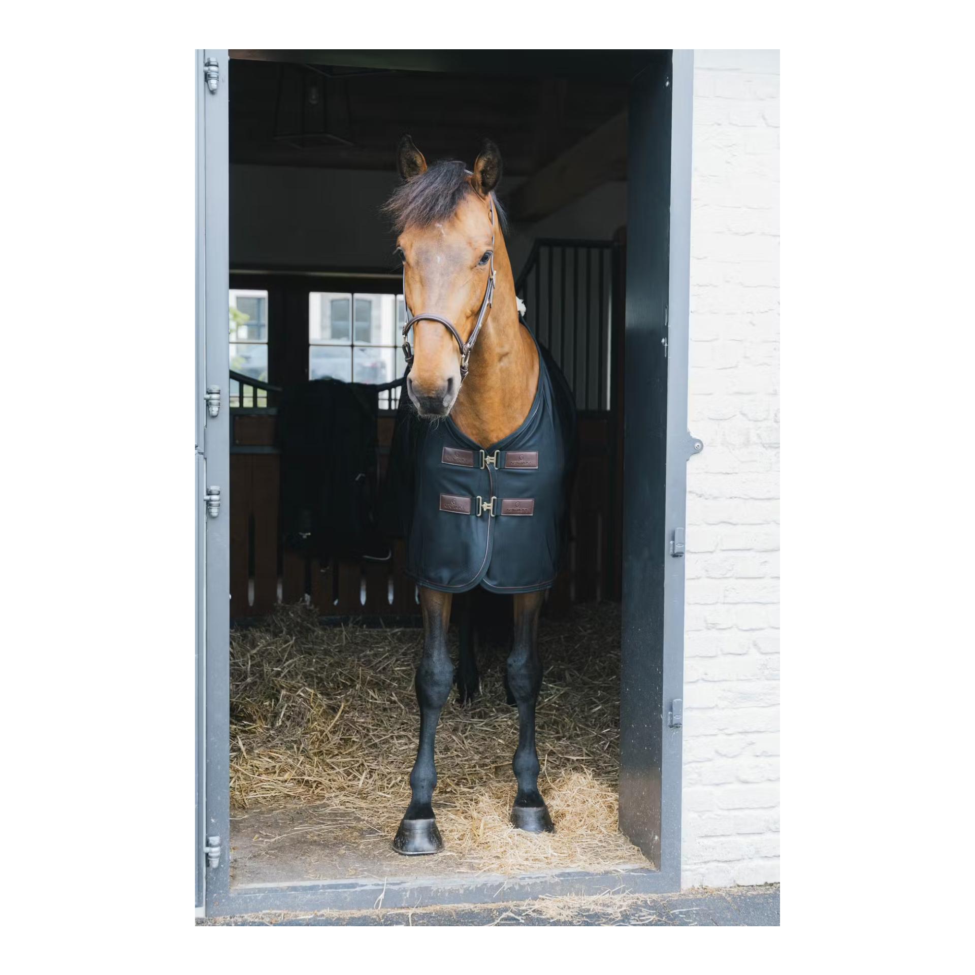 Kentucky Chemise anti-mouches Mesh