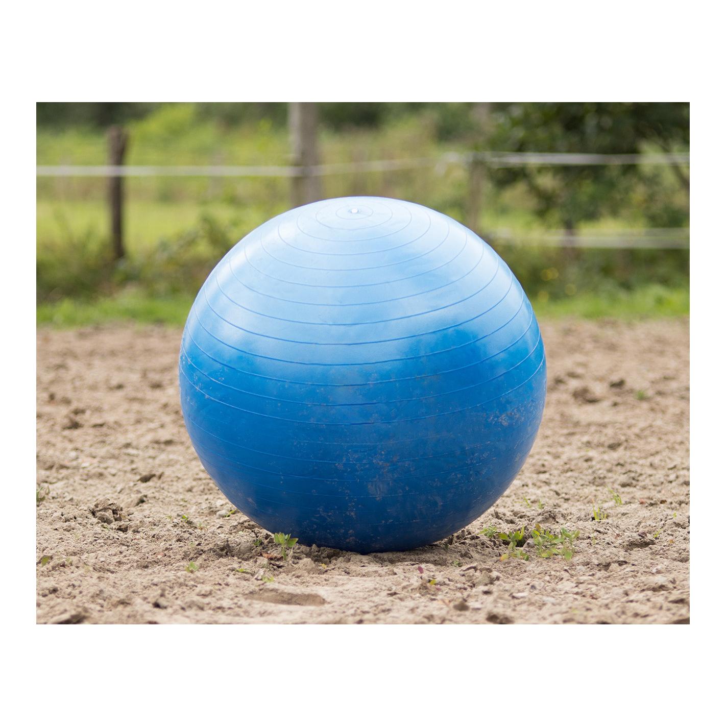 QHP Balle pour chevaux - bleu