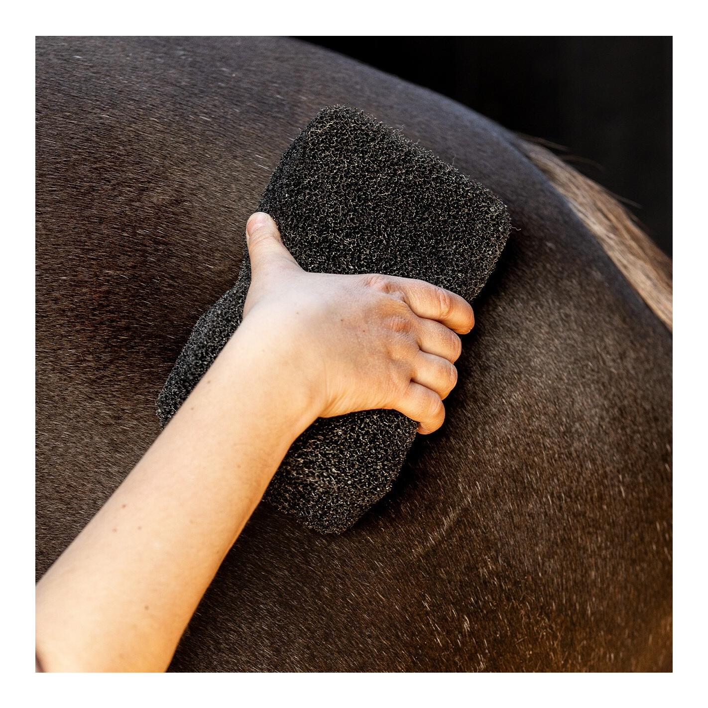 QHP Equi Super Shiner - Pferdeschwamm zur Fellreinigung