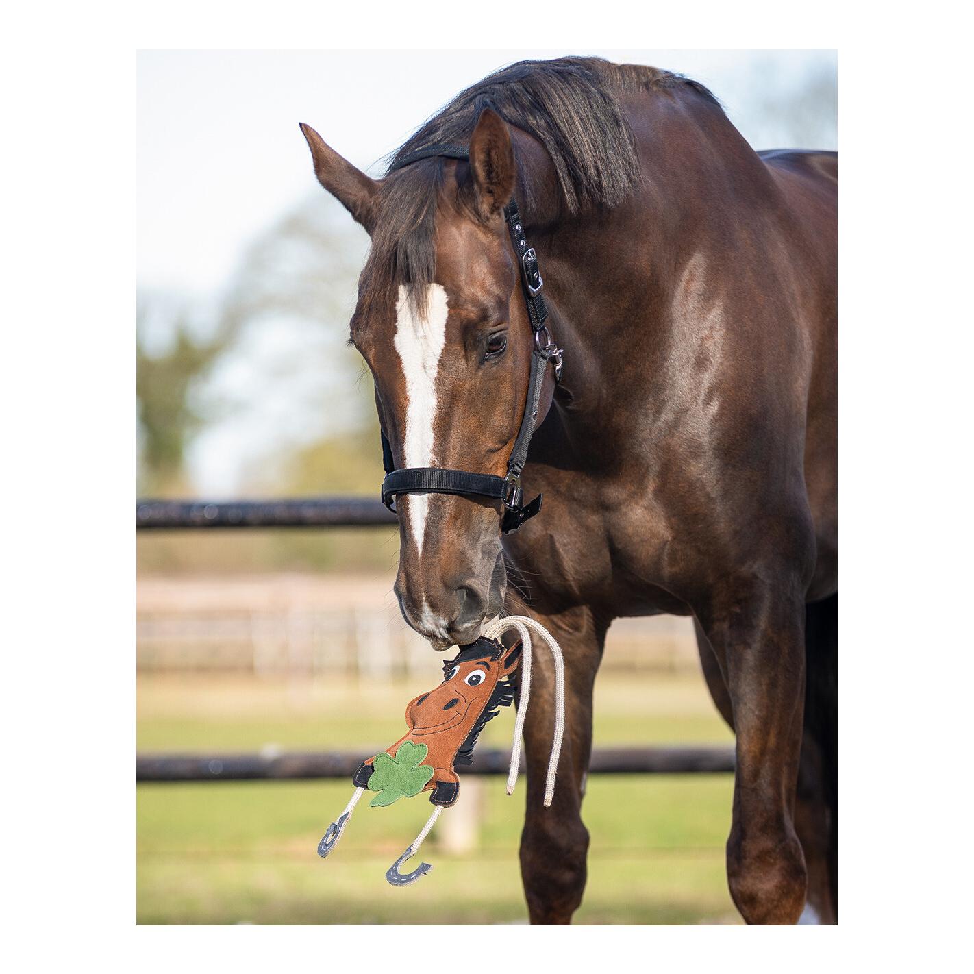 QHP Jouet pour cheval Good luck