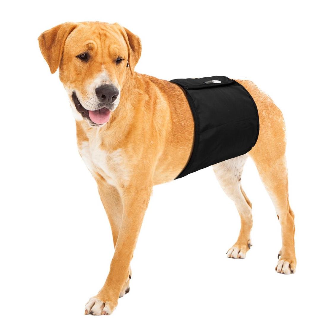 TRIXIE Pantalon de protection pour chien mâle