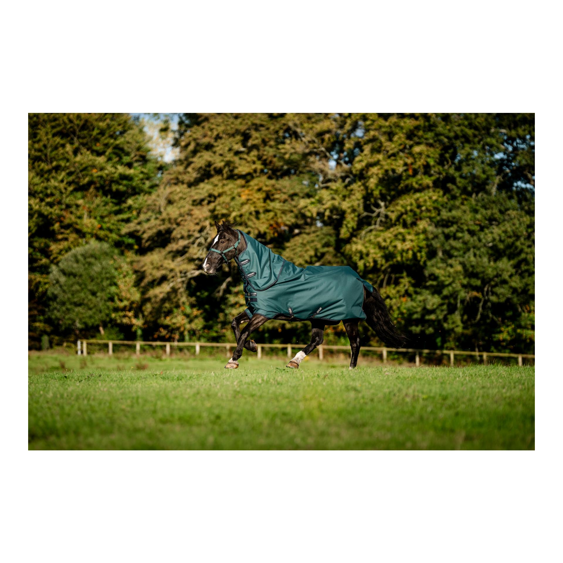 Horseware Weidedecke Amigo Ripstop 900D Plus Turnout 0g