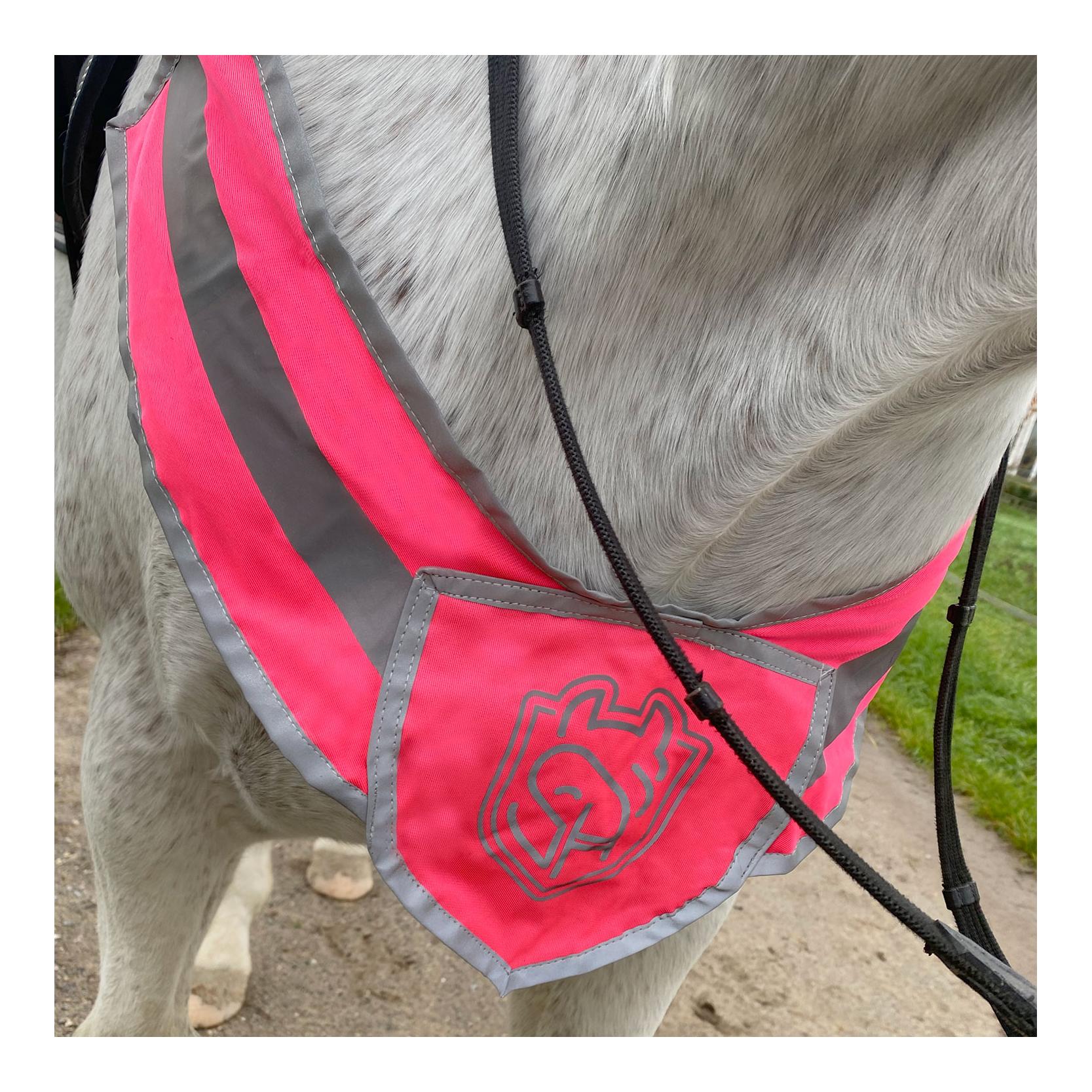 Soulhorse Kit d'éclairage avant