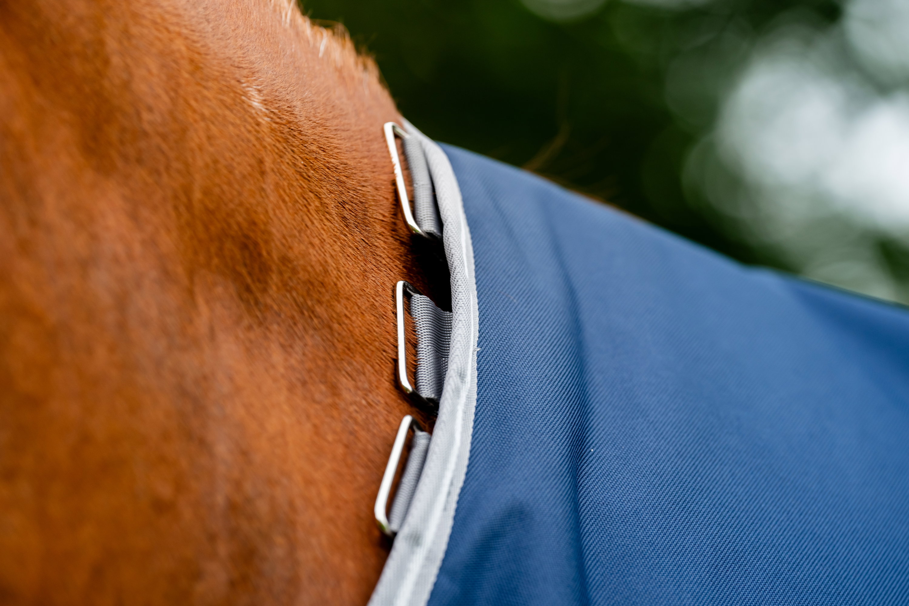 Horseware Couverture d'extérieur Amigo® 1200D 100 g