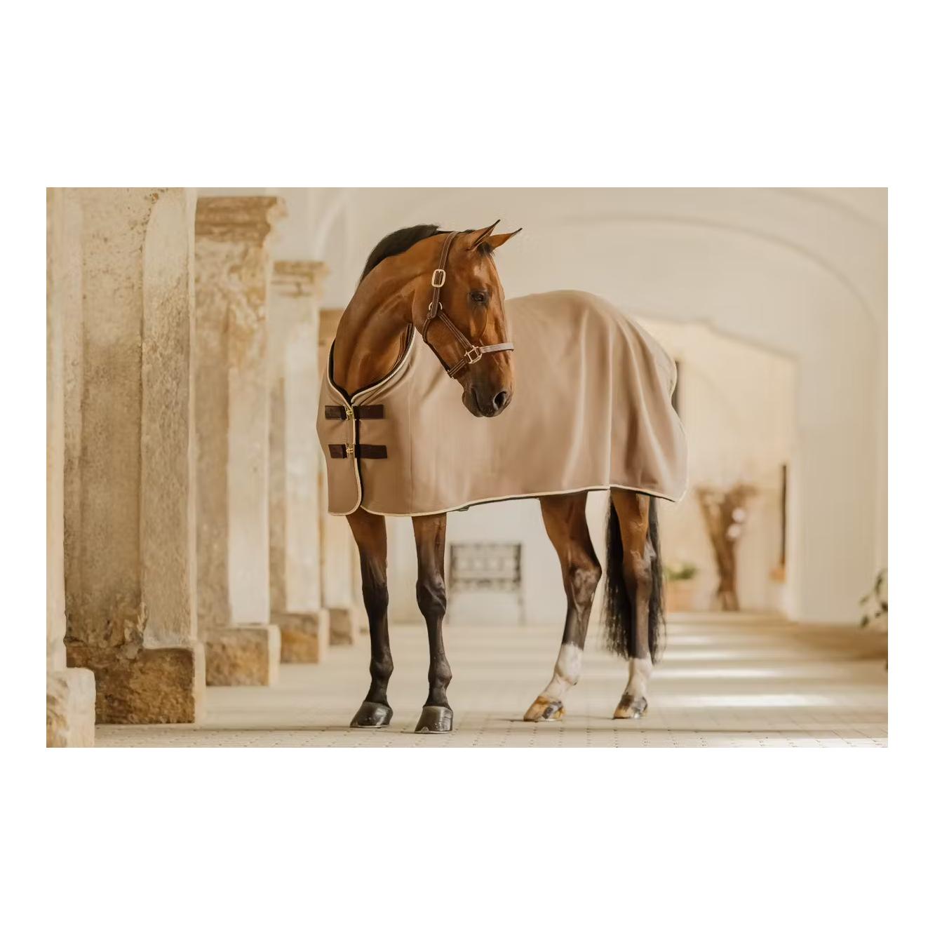 Kentucky Abschwitzdecke Show vegan wool