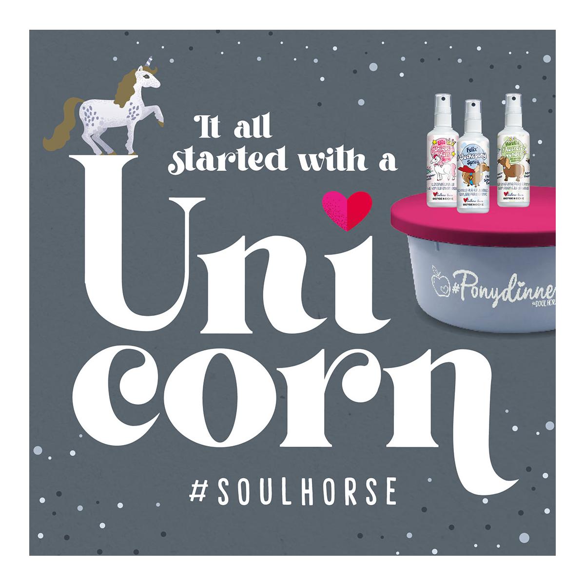 Soulhorse Geschenkset Probenkalender