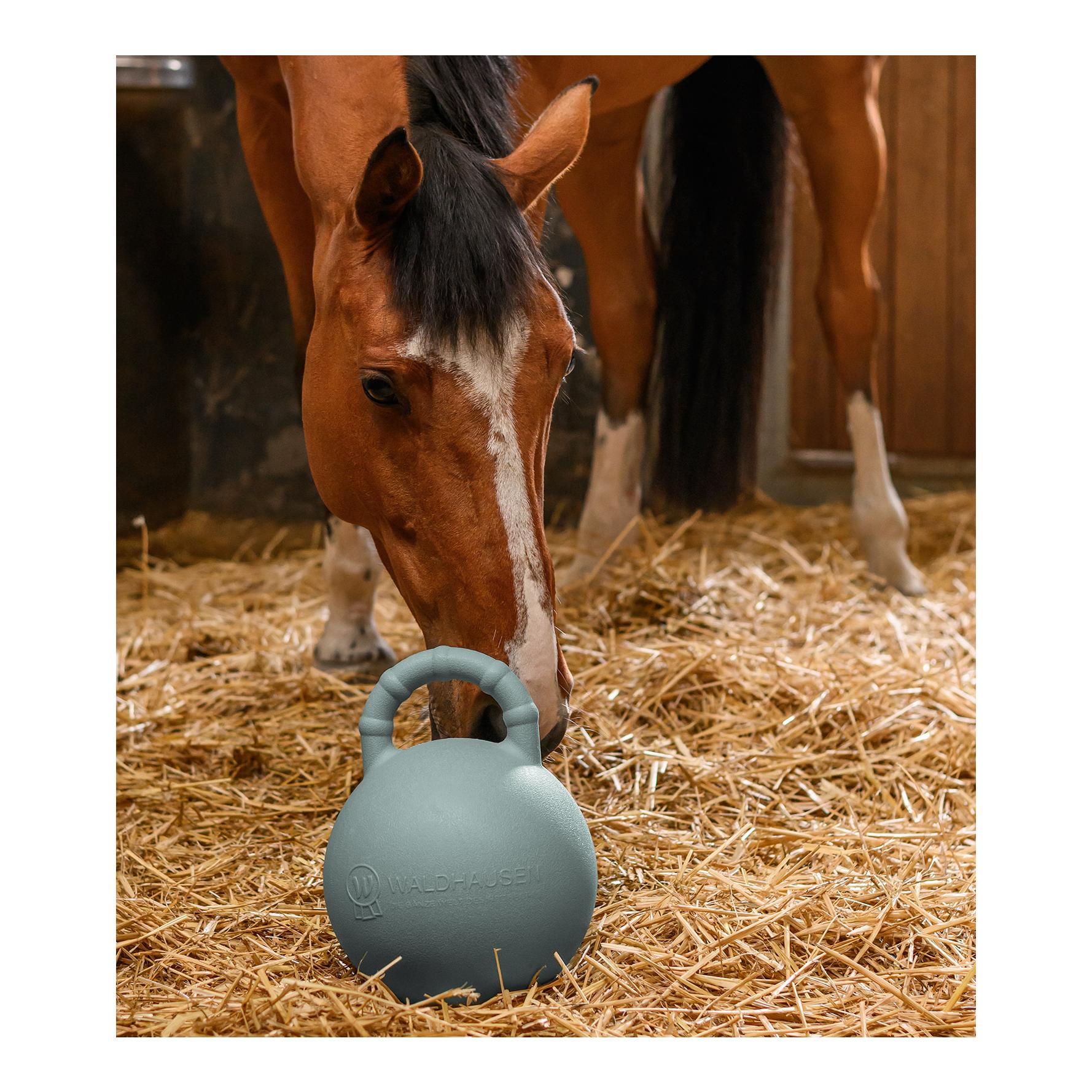 Waldhausen Fun Ball
