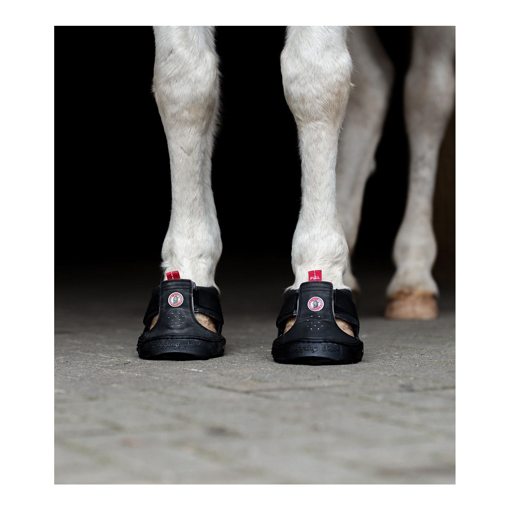 Equine Fusion Equine FusionTrekking Shoe Slim