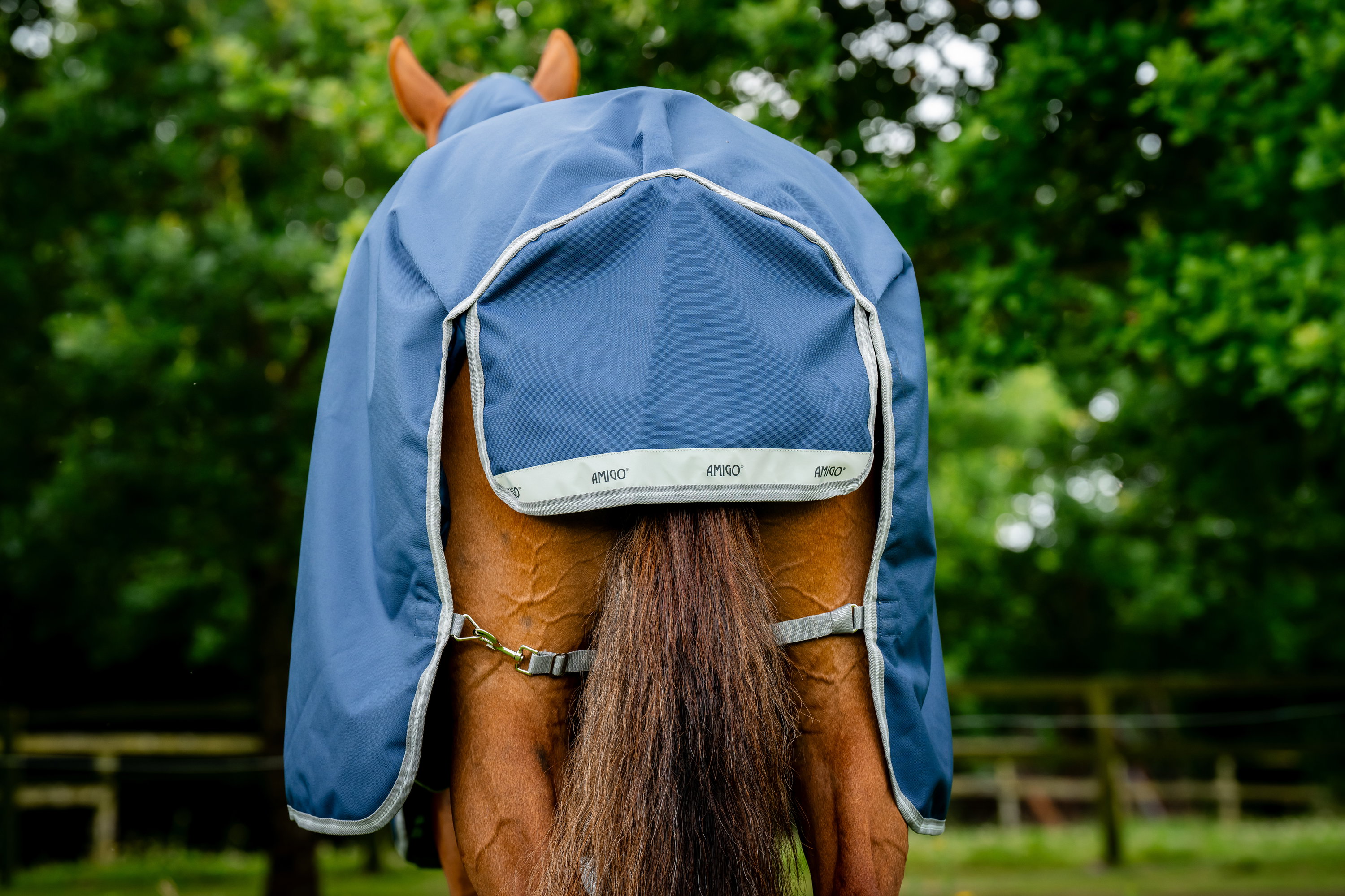 Horseware Couverture d'extérieur Amigo® 1200D 100 g