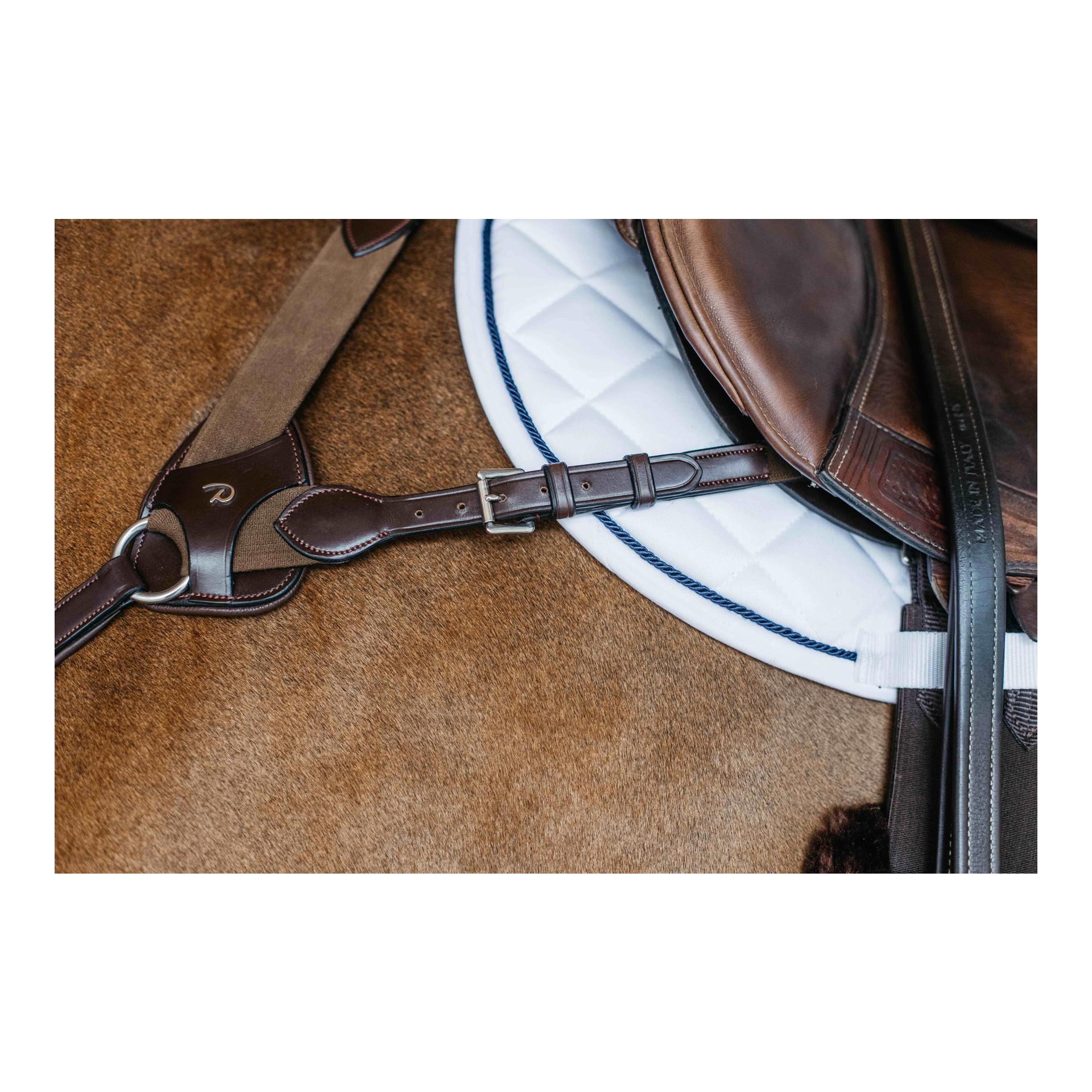 Dy'on Vorgeschirr 5 Punkt mit Elastic New English Collection