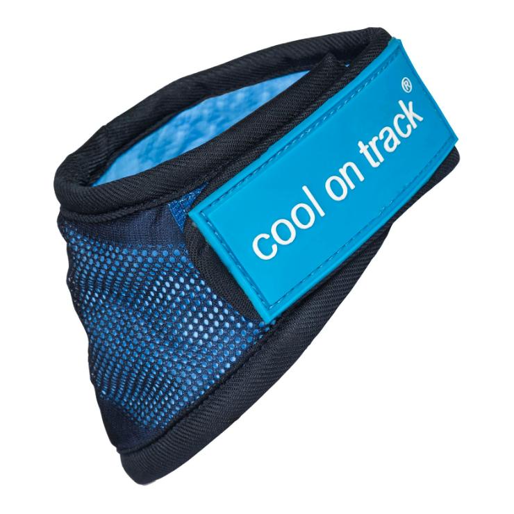 Back on Track Cooling Bandana