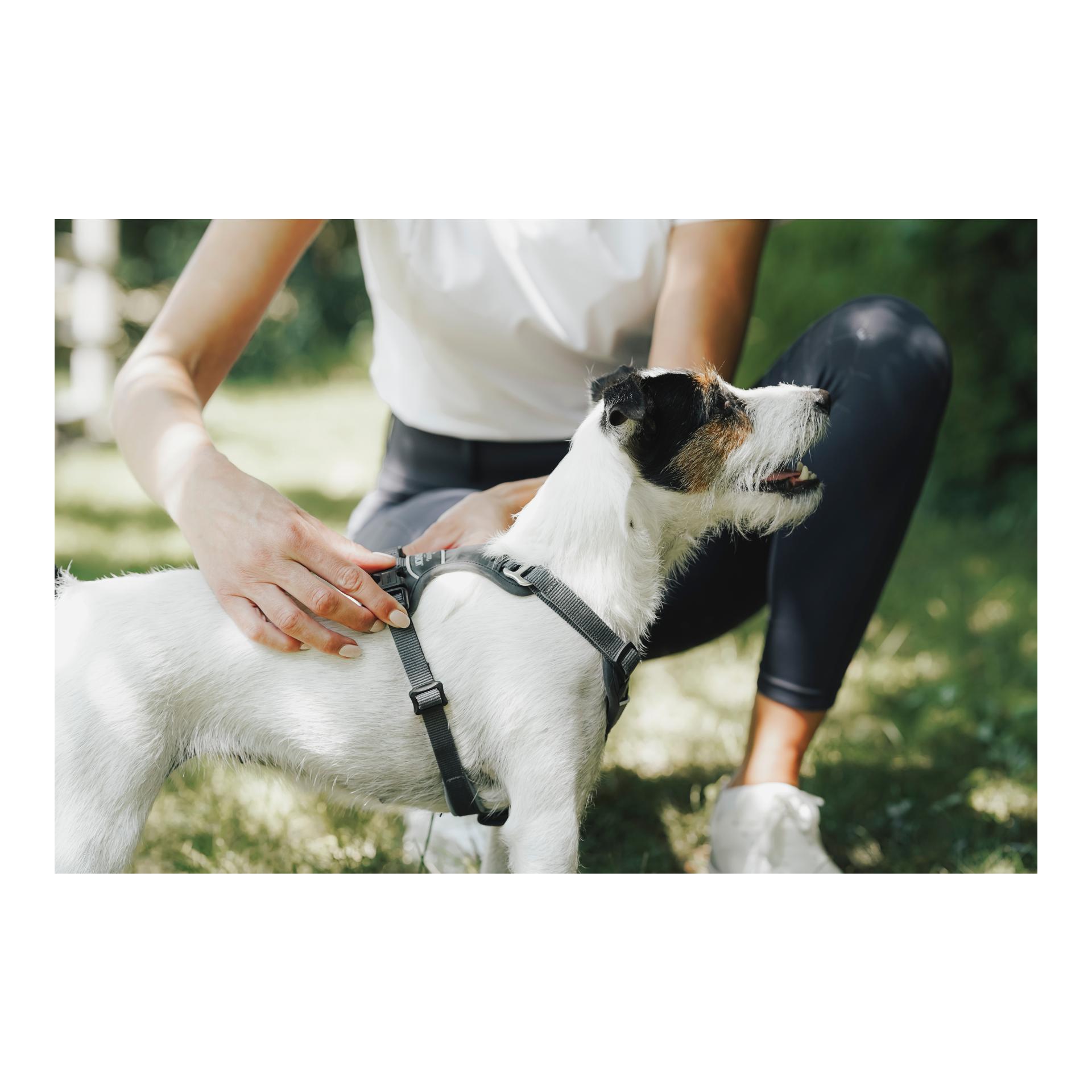 Eskadron Harnais pour chien MOTION REFLECT