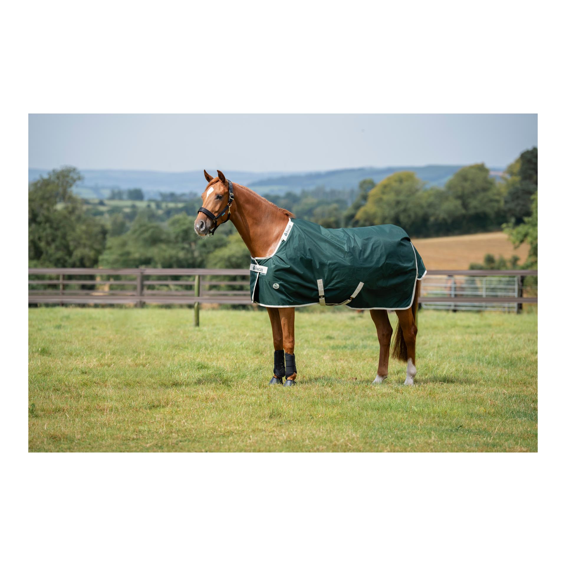 Bucas Couverture de paddock Green-Line Turnout 100 g - vert
