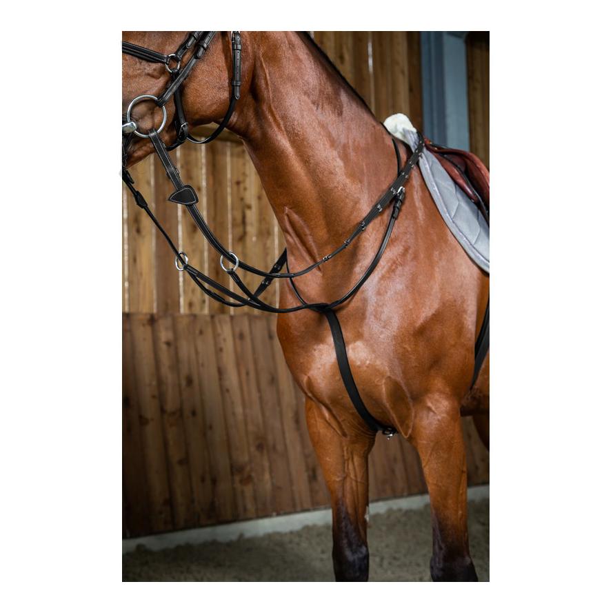 Dy'on Gleitendes Ringmartingal Working Collection - schwarz